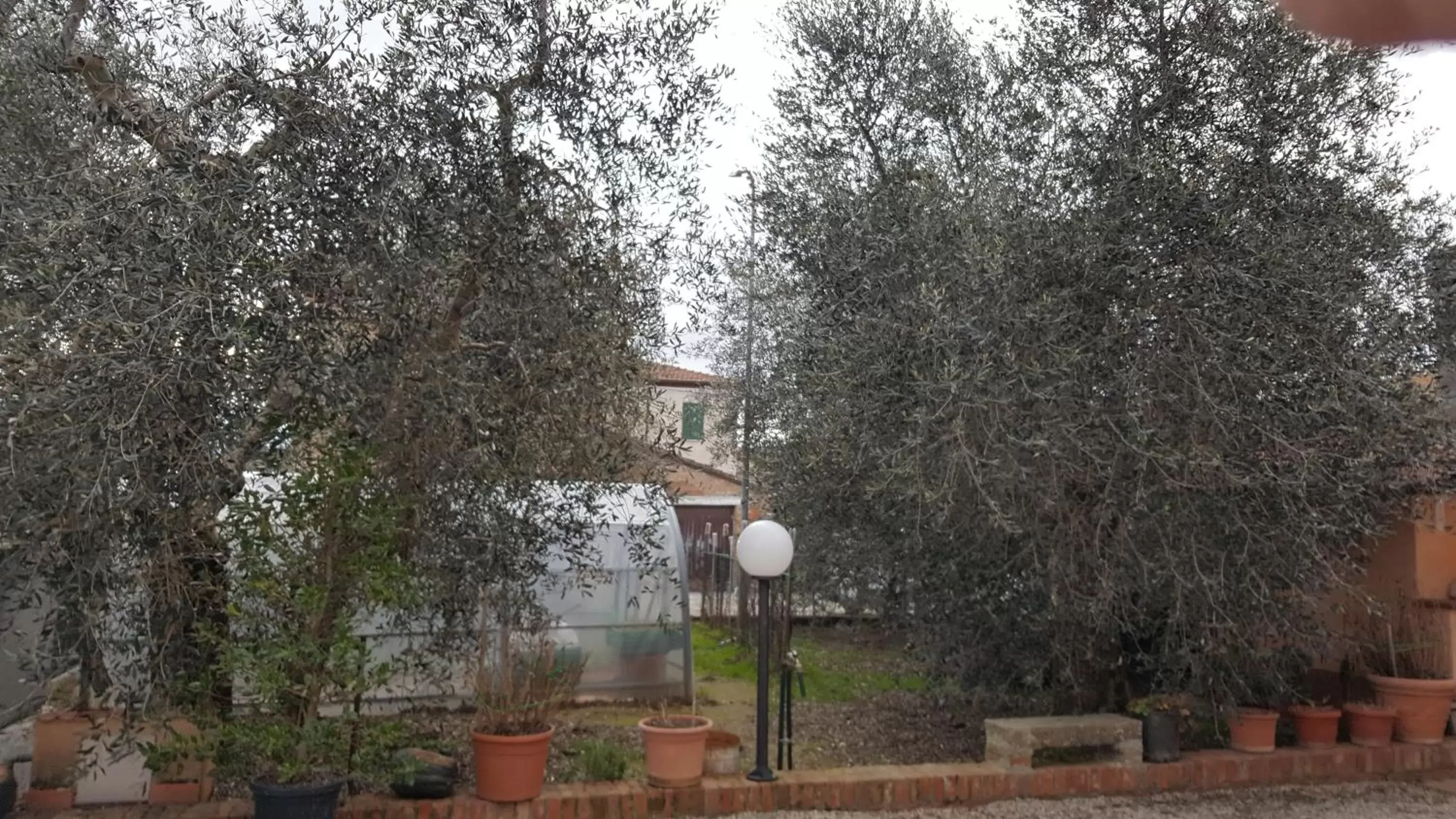 Garden view in Orto degli Ulivi