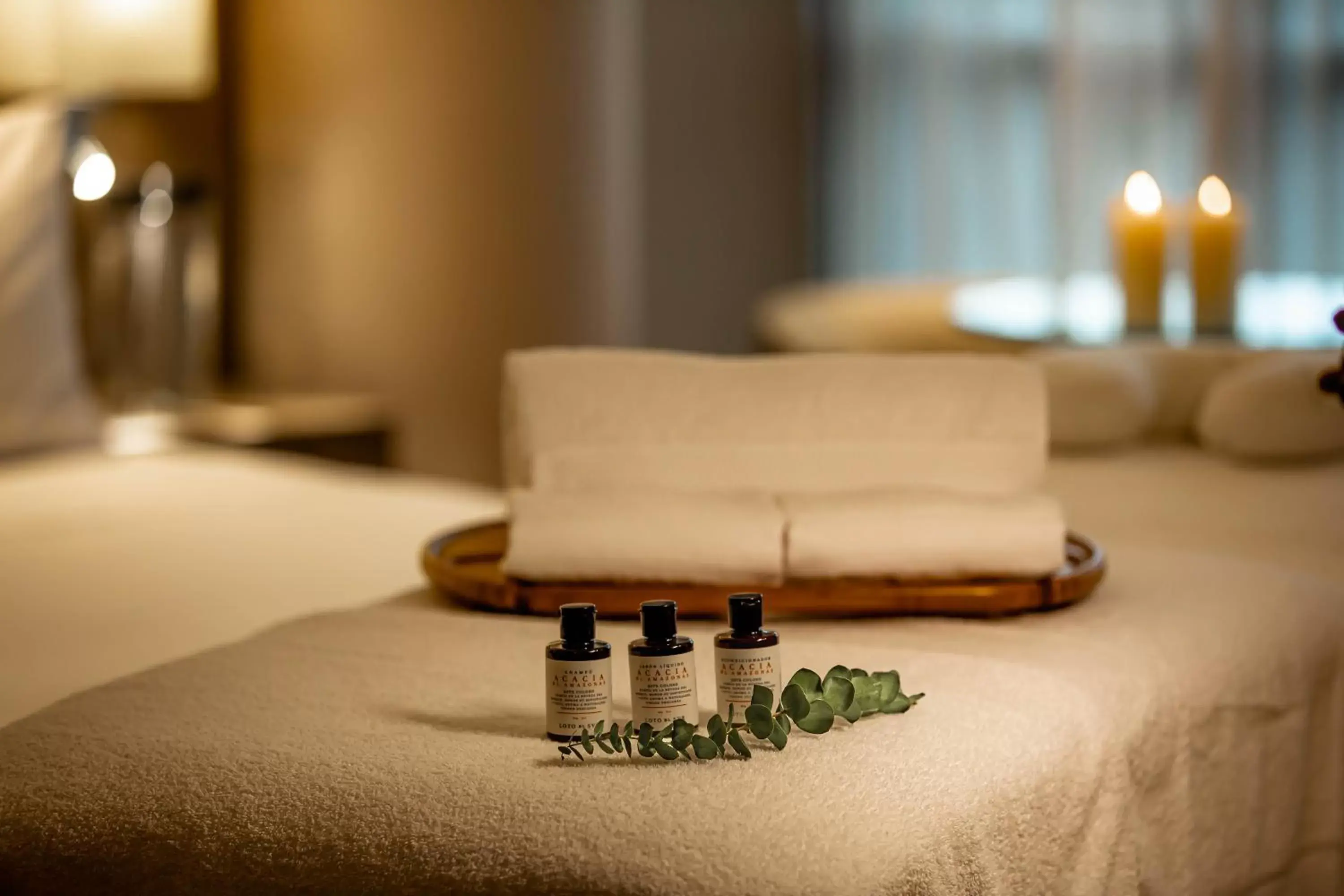 Spa and wellness centre/facilities, Bed in Binn Hotel