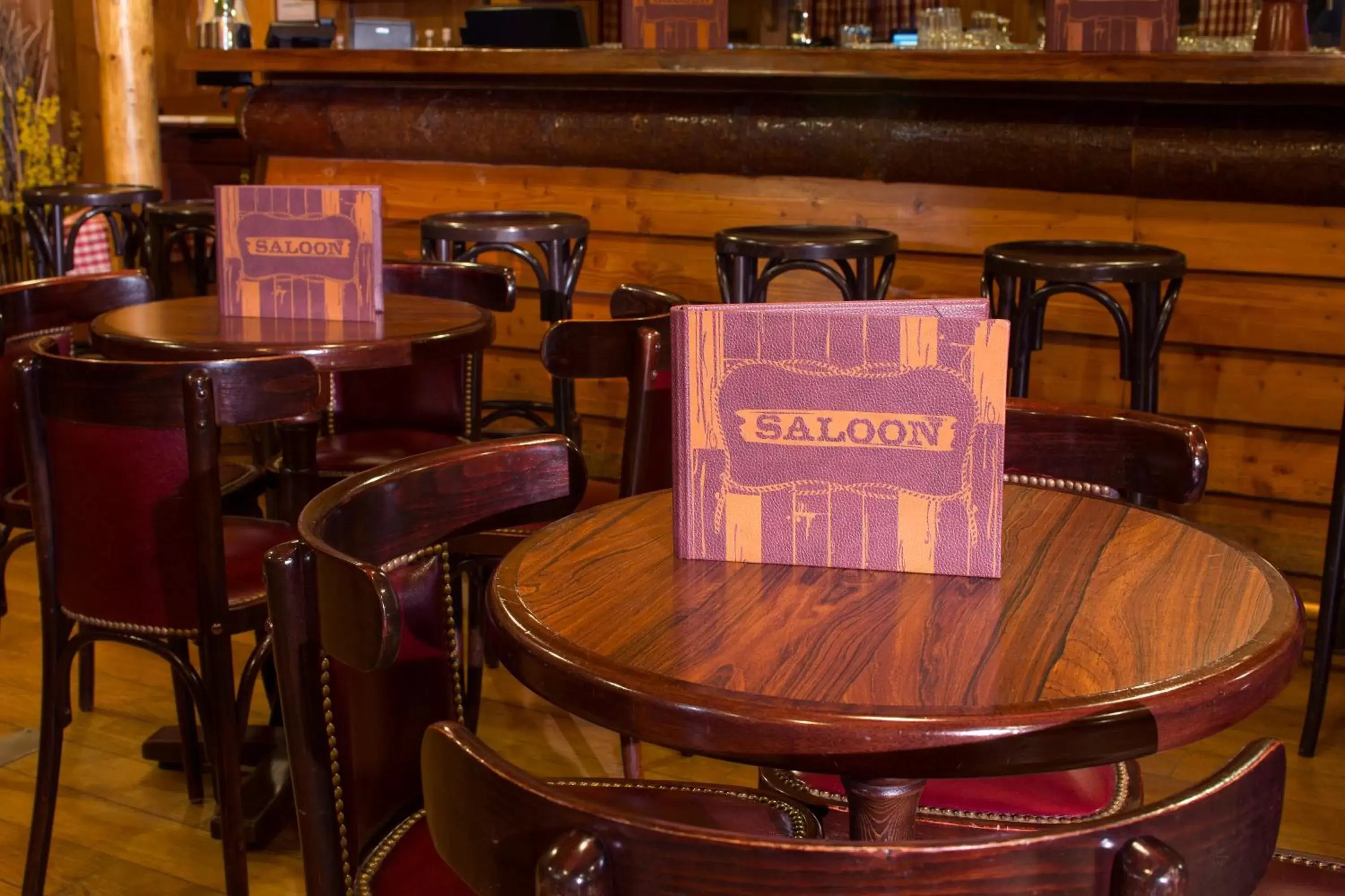 Lounge or bar in Disney Davy Crockett Ranch