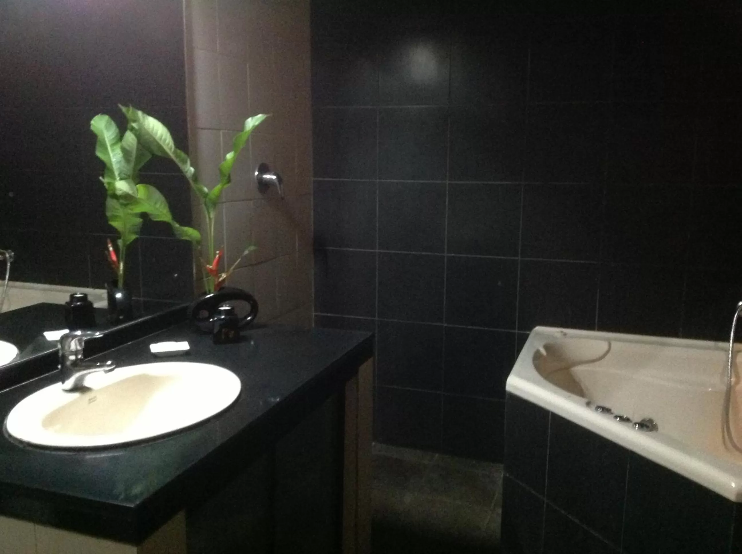 Bathroom in Highbury Colombo