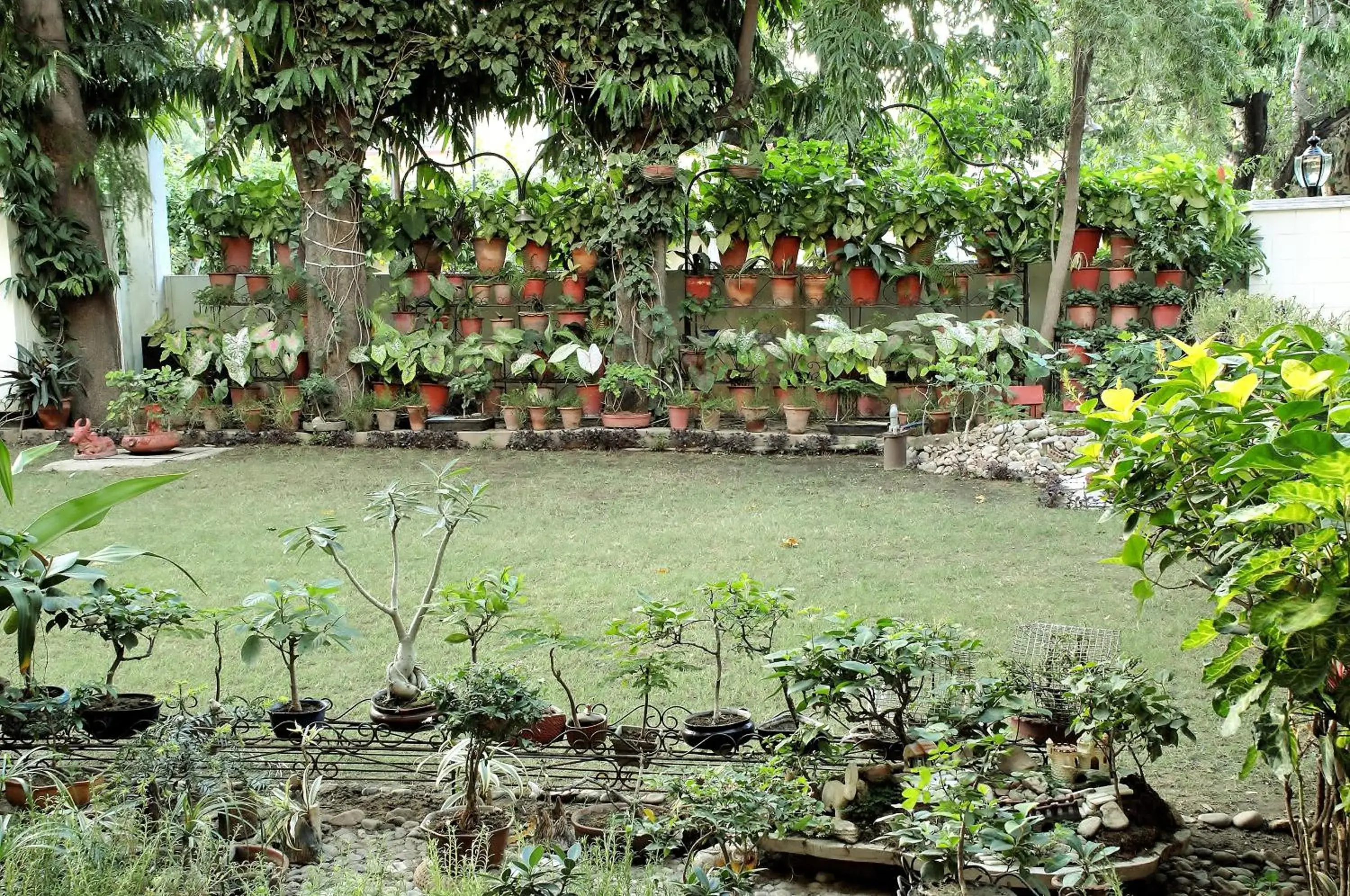 Garden in Tara Niwas