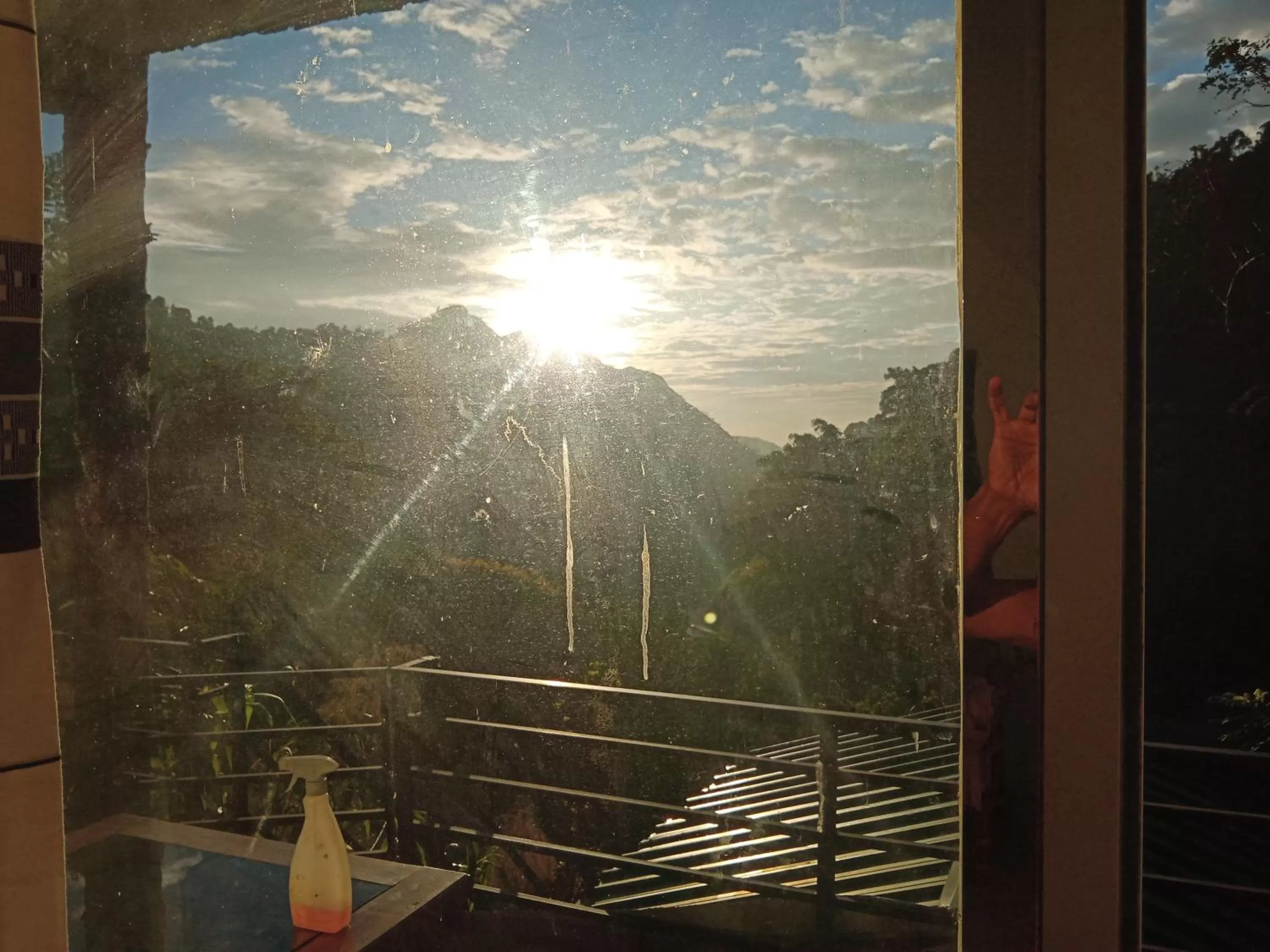 Ella Lucky Panoramic