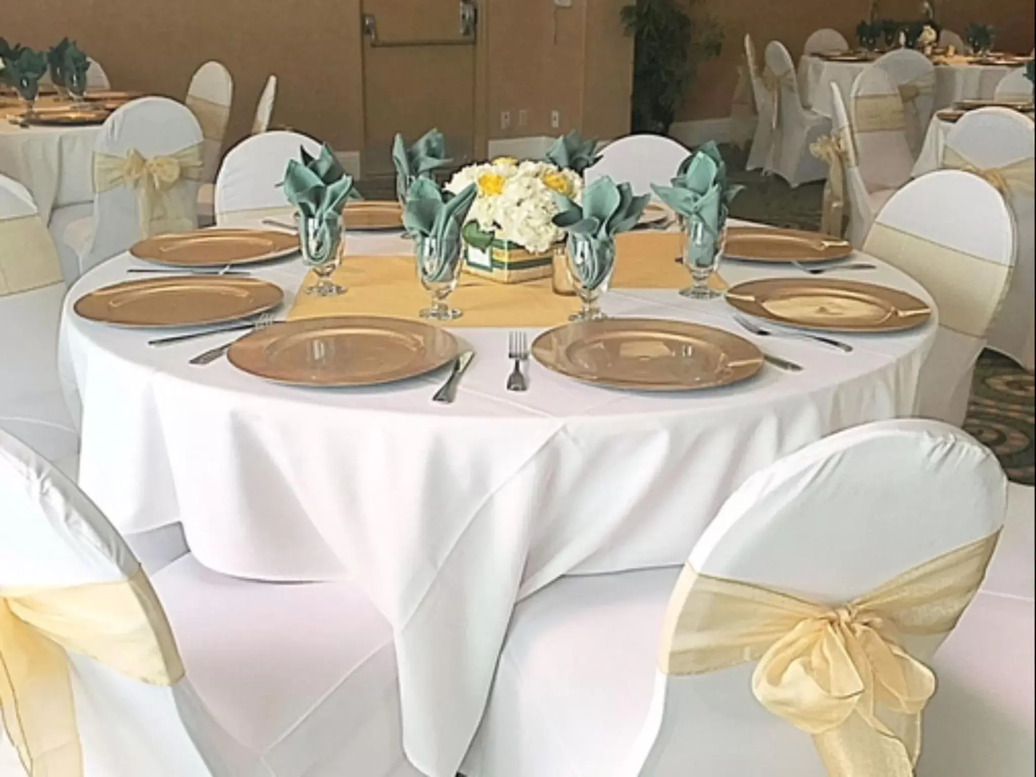 Banquet/Function facilities, Banquet Facilities in Premiere Suites