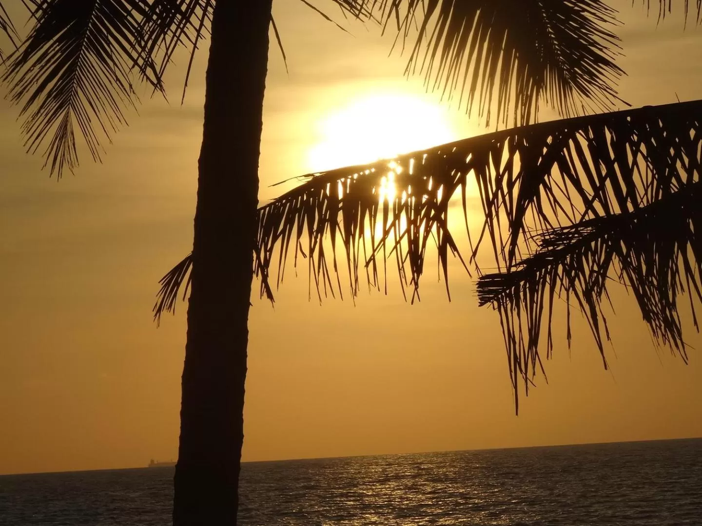 Night in Amssler Beach Stay