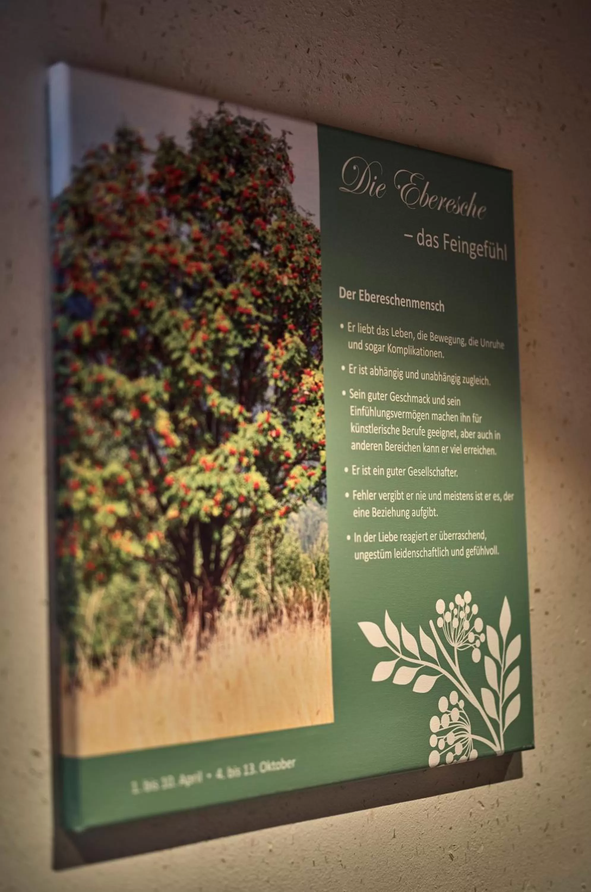 Other in Zedernhof Gesundheits- & Wellnesshotel