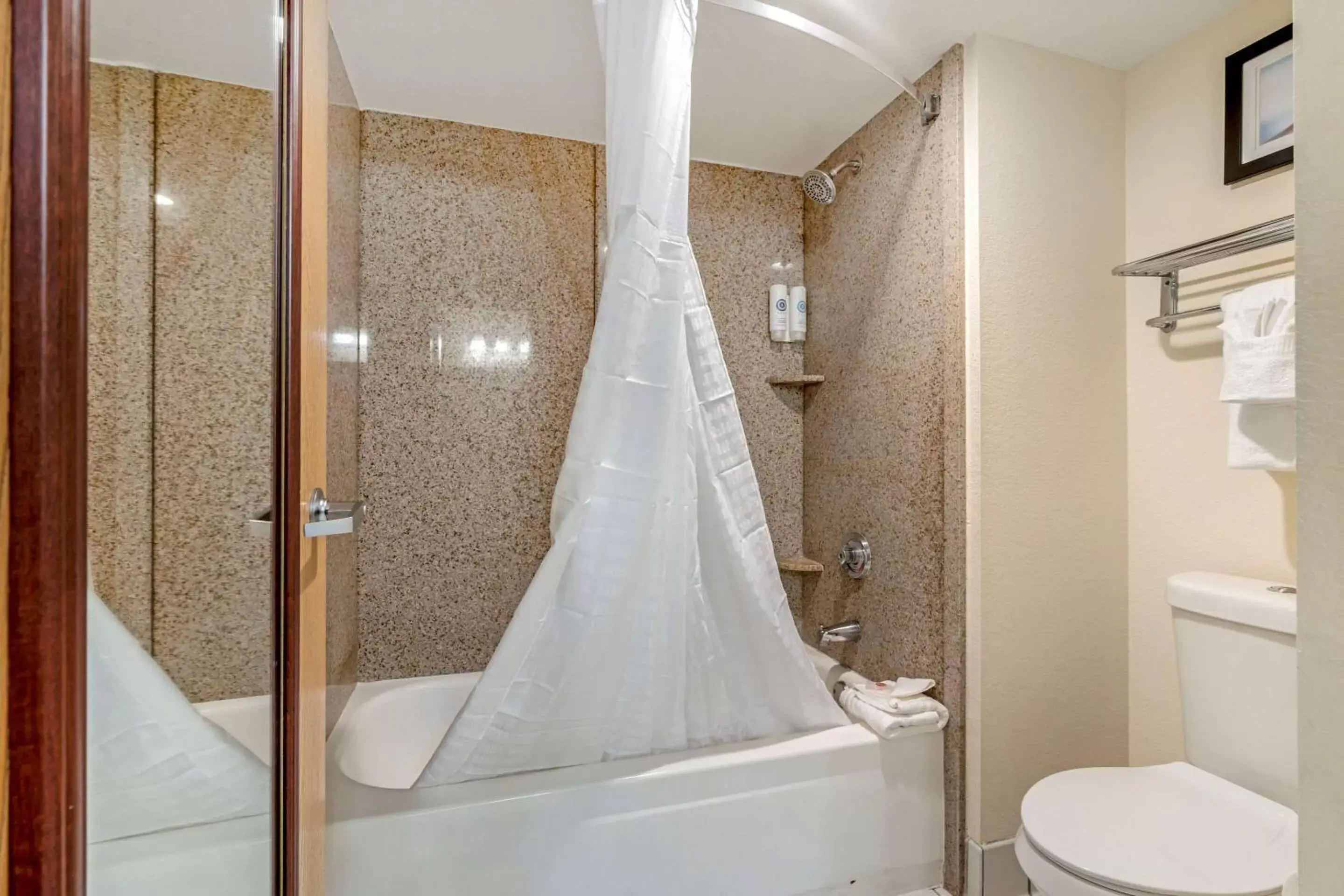 Bedroom, Bathroom in Comfort Inn Kissimmee-Lake Buena Vista South