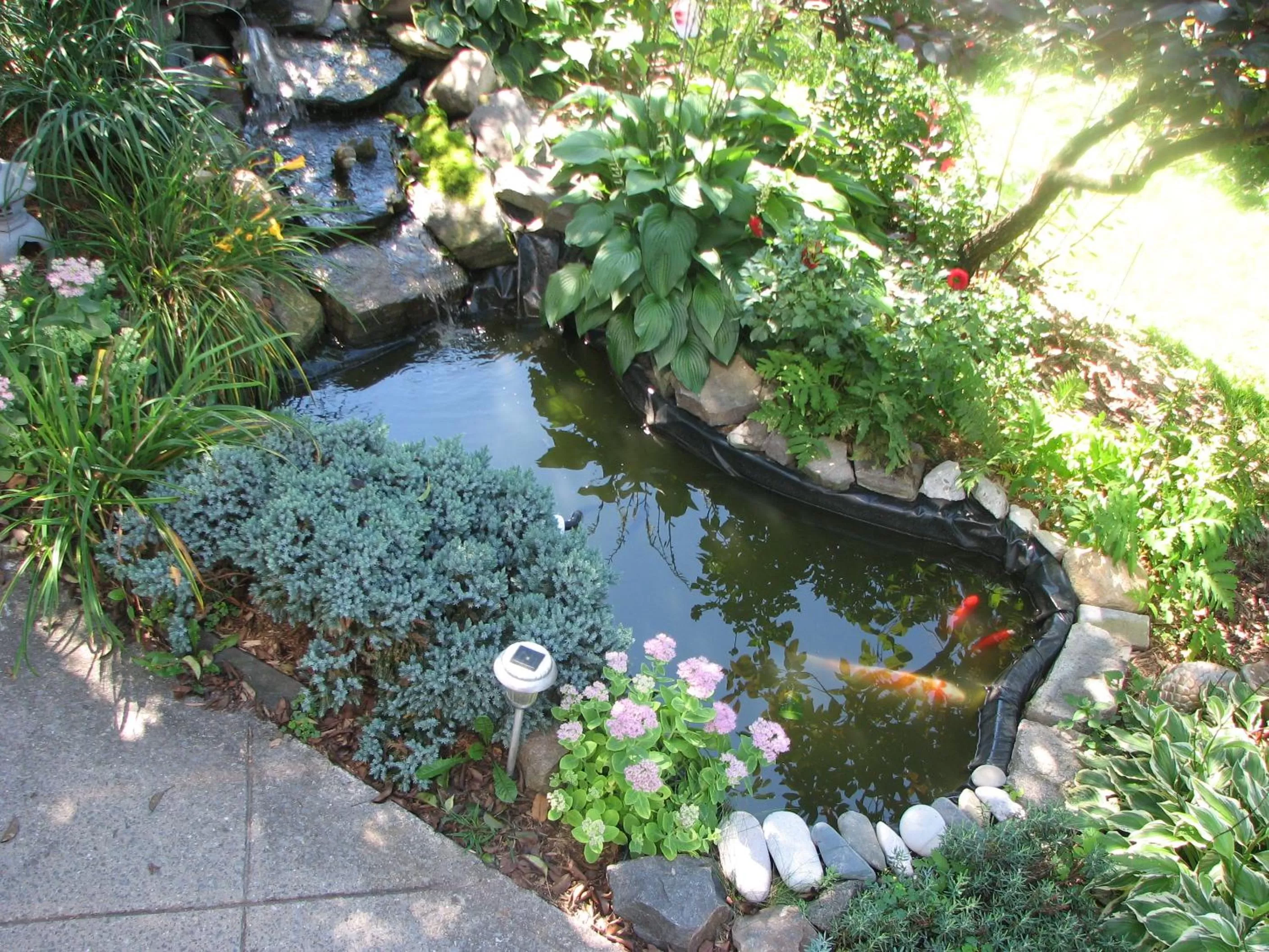 Garden in Magnolia B&B