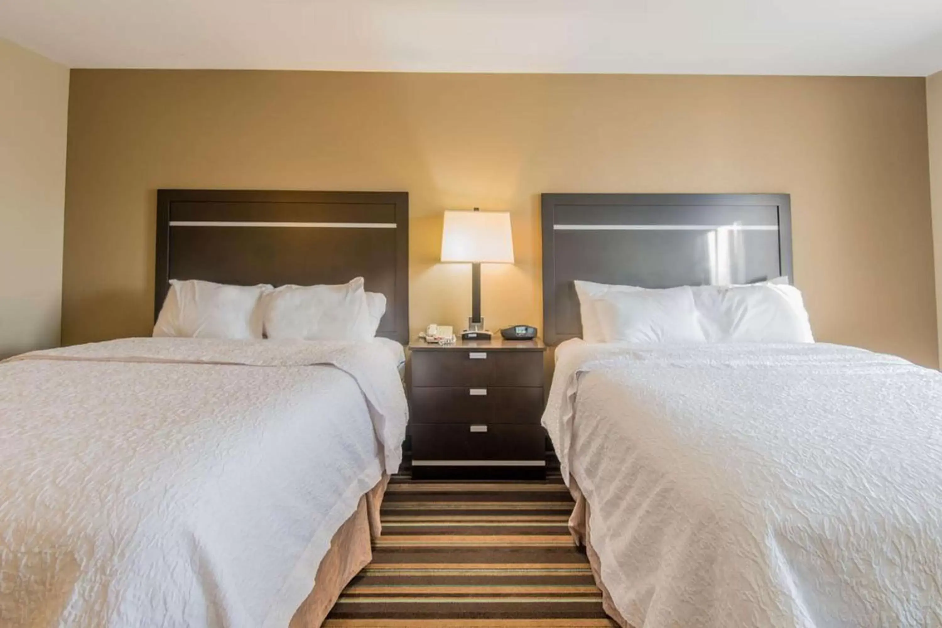 Queen Studio Suite with Two Queen Beds - Non-Smoking in Hampton Inn New Albany Queen Studio Suite with Two Queen Beds - Non-Smoking in Hampton Inn New Albany