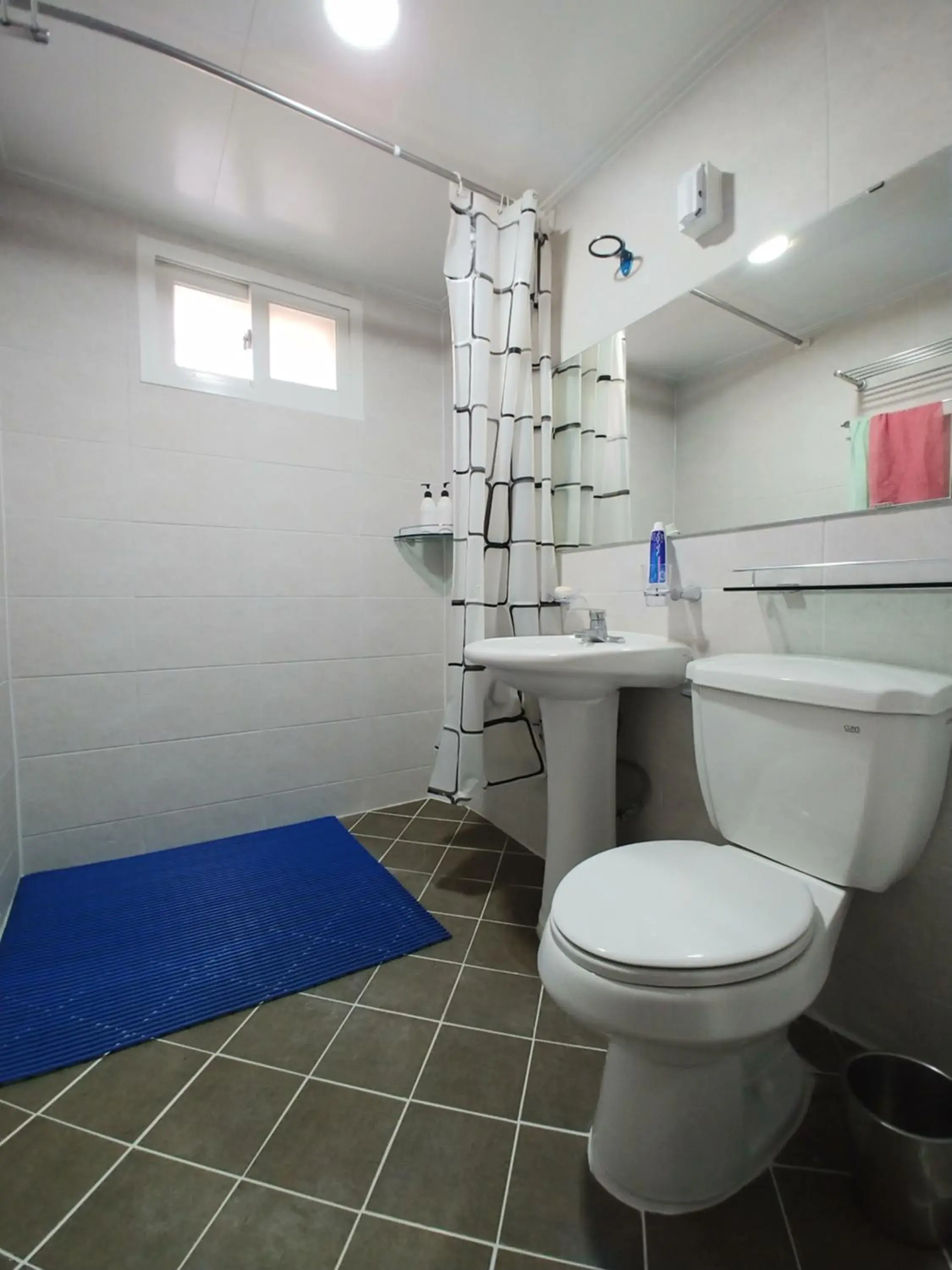 Bathroom in The Red House