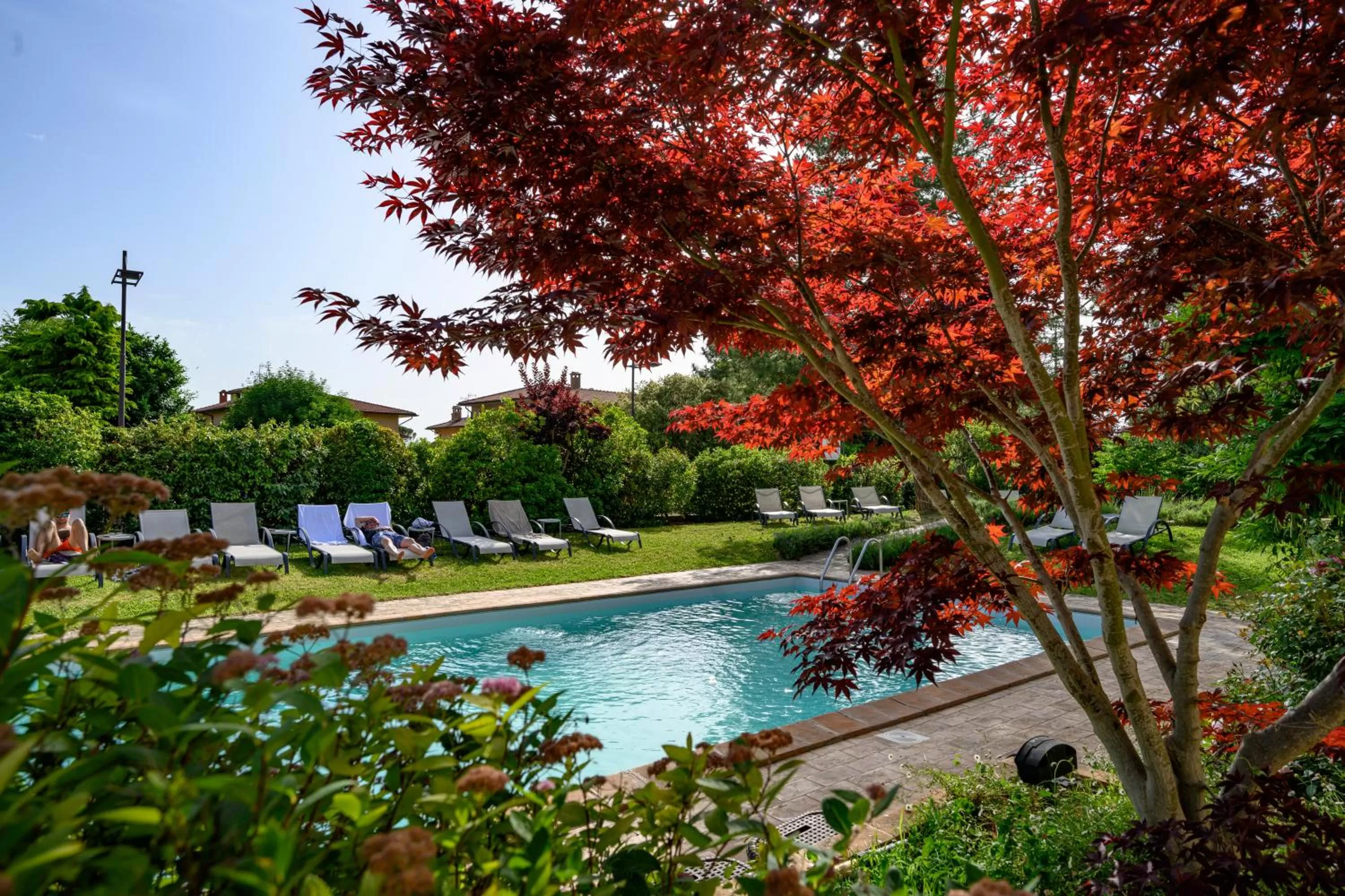 Swimming pool in Hotel Rutiliano