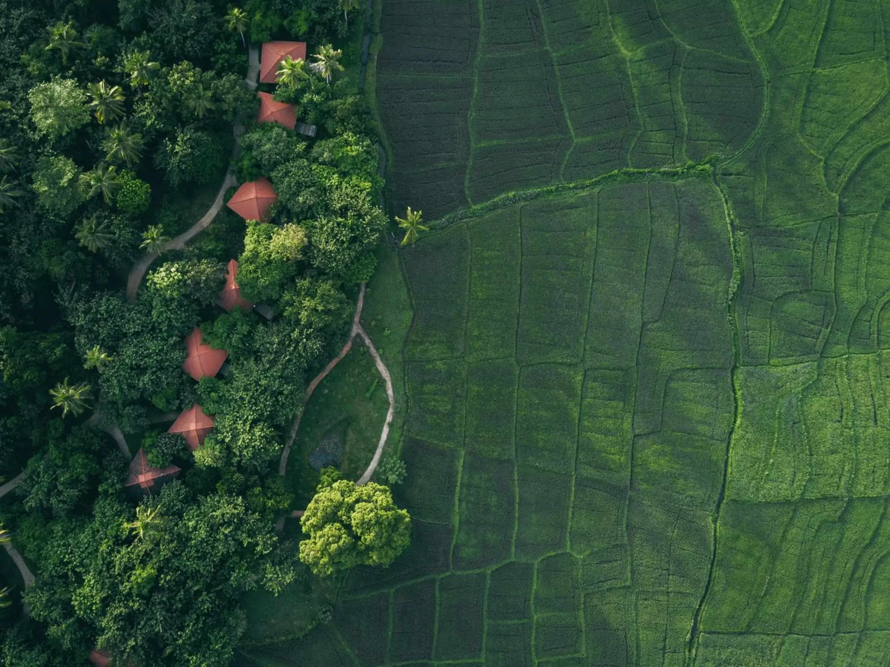 Bird's eye view, Bird's-eye View in Jetwing Kaduruketha