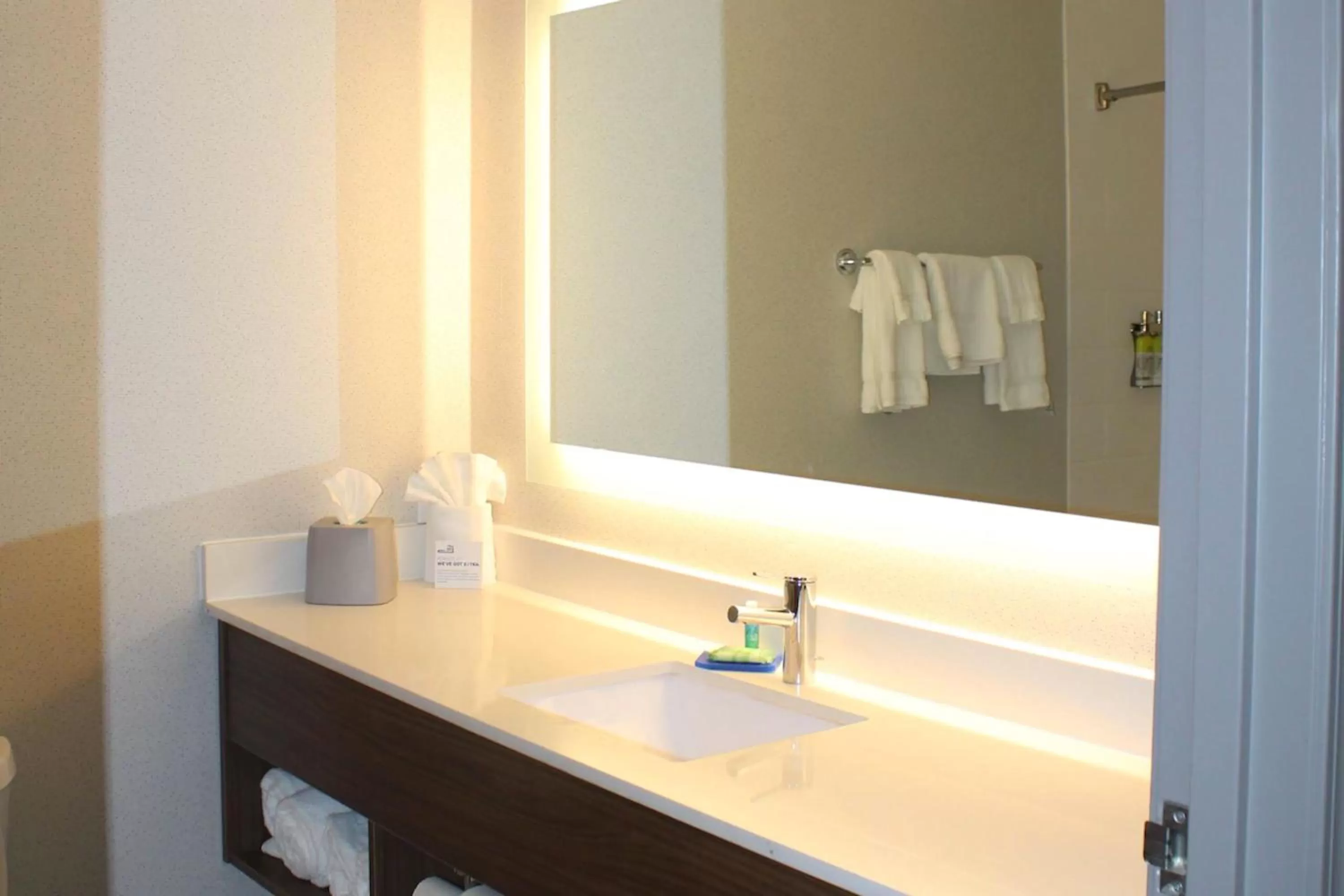 Bathroom in Holiday Inn Express Hotel & Suites Raton by IHG
