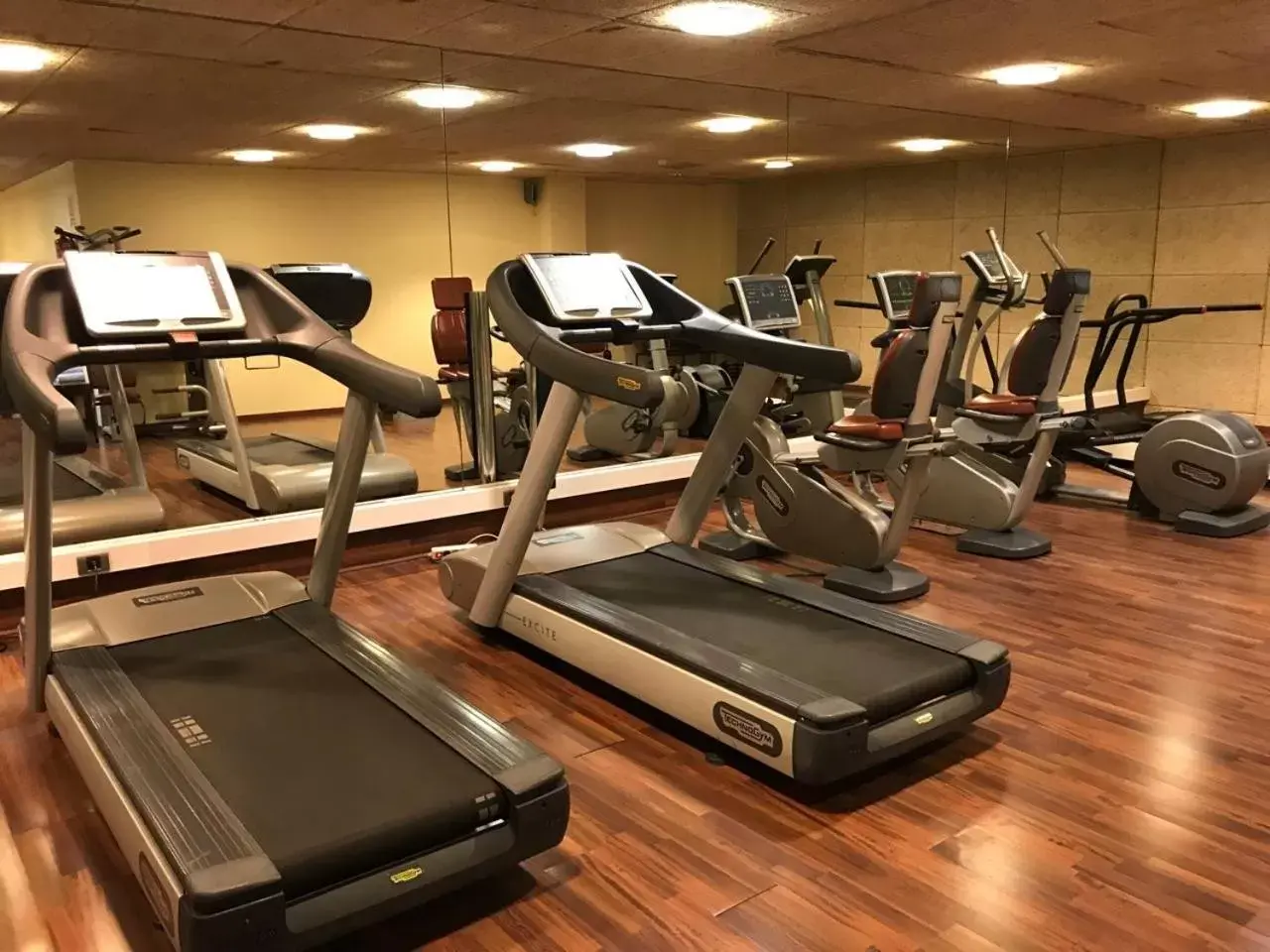 Fitness centre/facilities, Fitness Center/Facilities in Hotel Blancafort Spa Termal