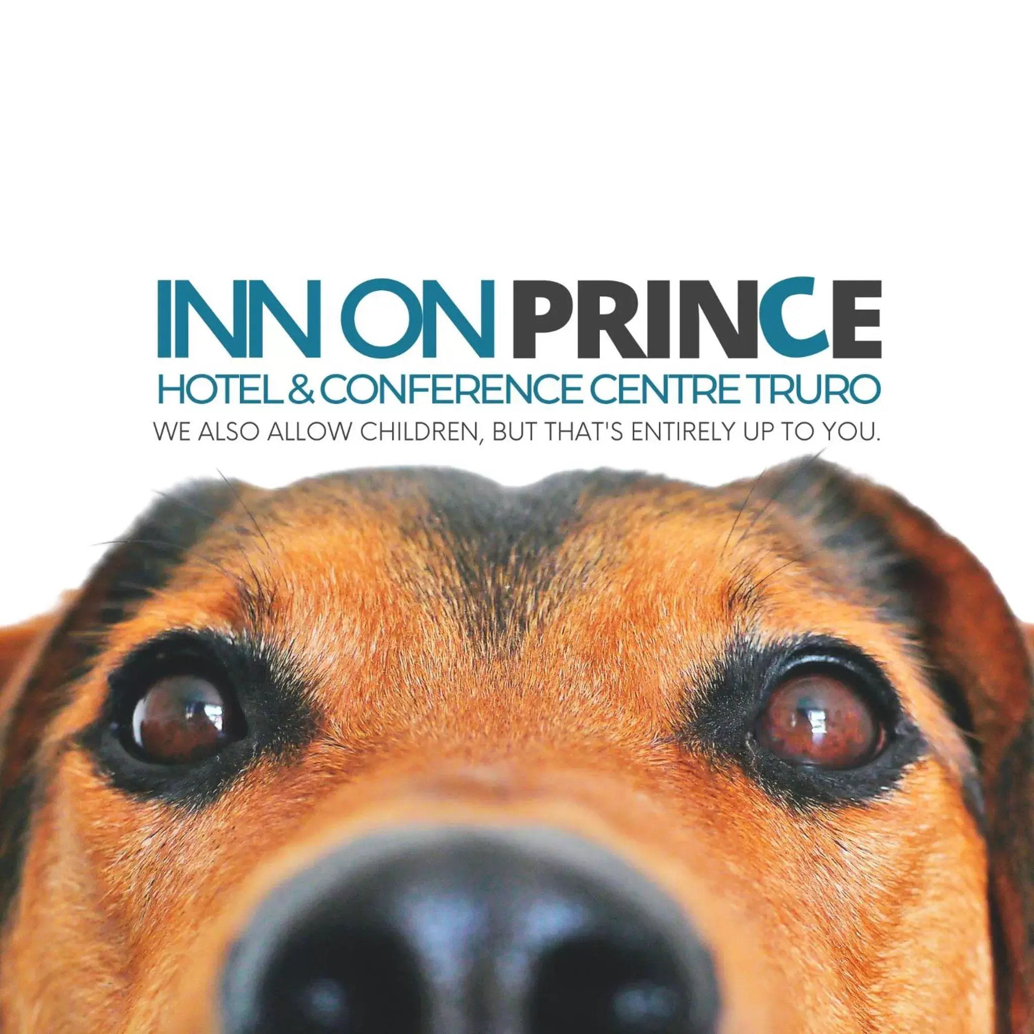 Pets in Inn on Prince Hotel and Conference Centre Truro