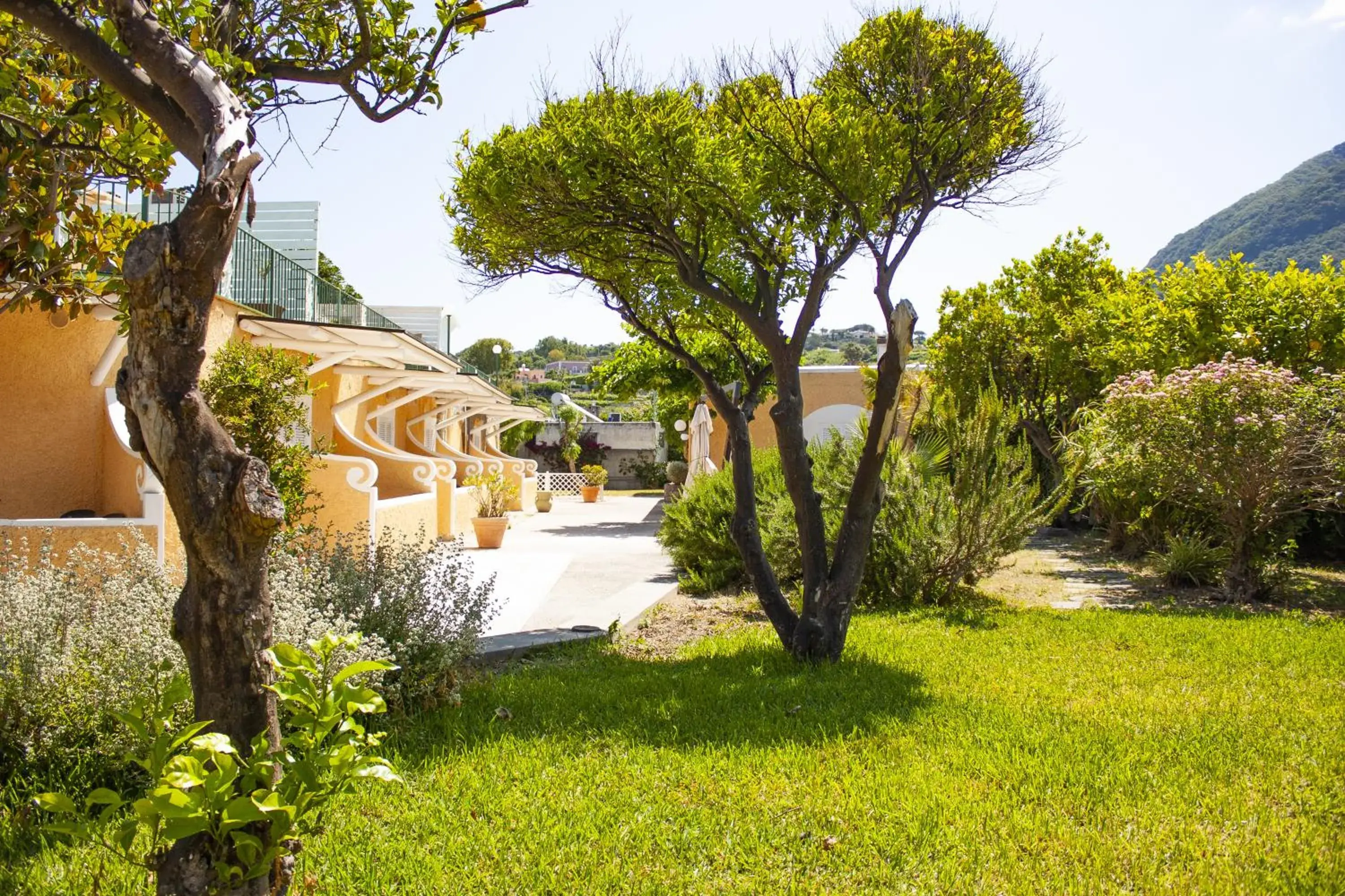 Inner courtyard view, Garden in Hotel Parco Delle Agavi