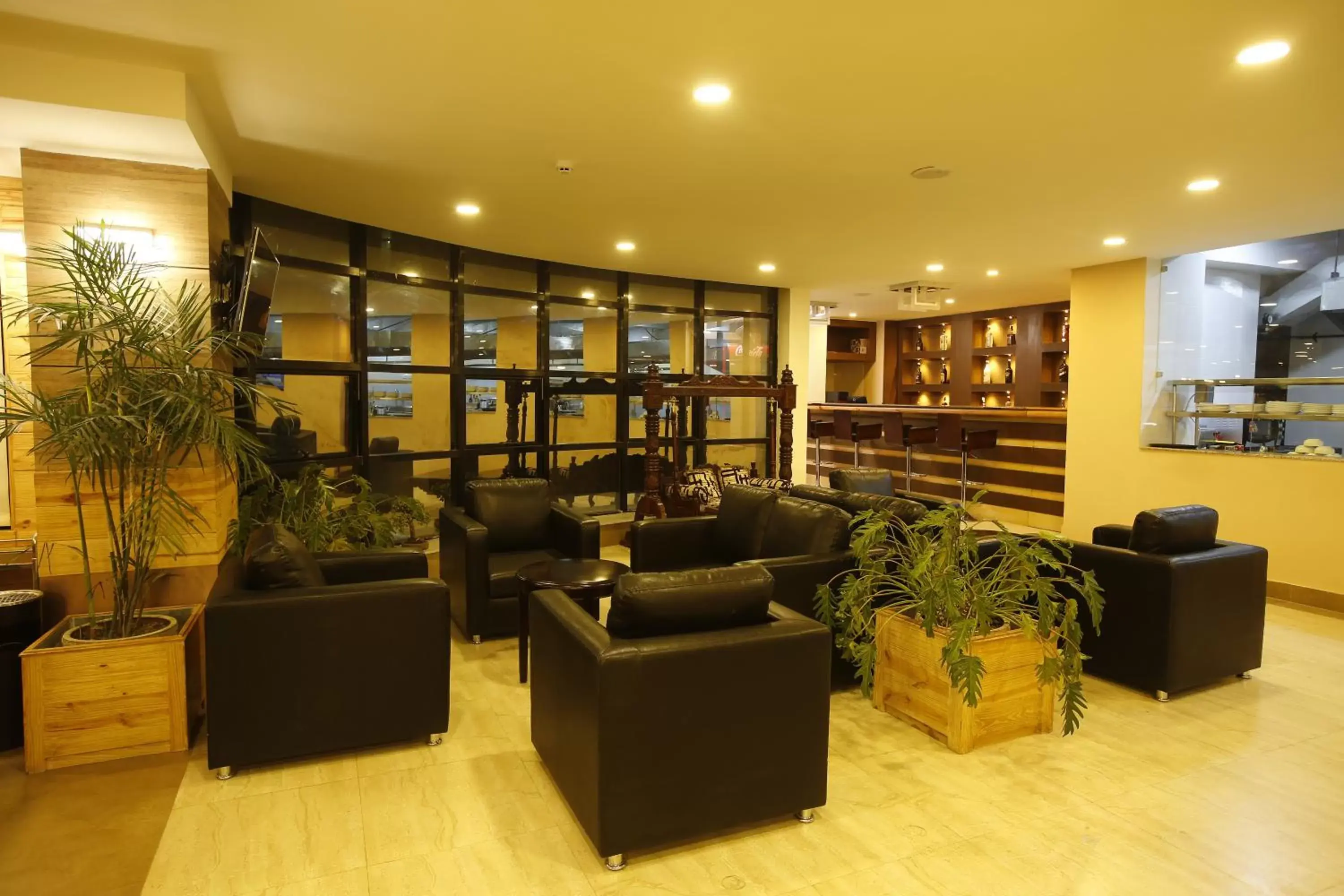 Lounge or bar, Lobby/Reception in Hotel Arts Kathmandu