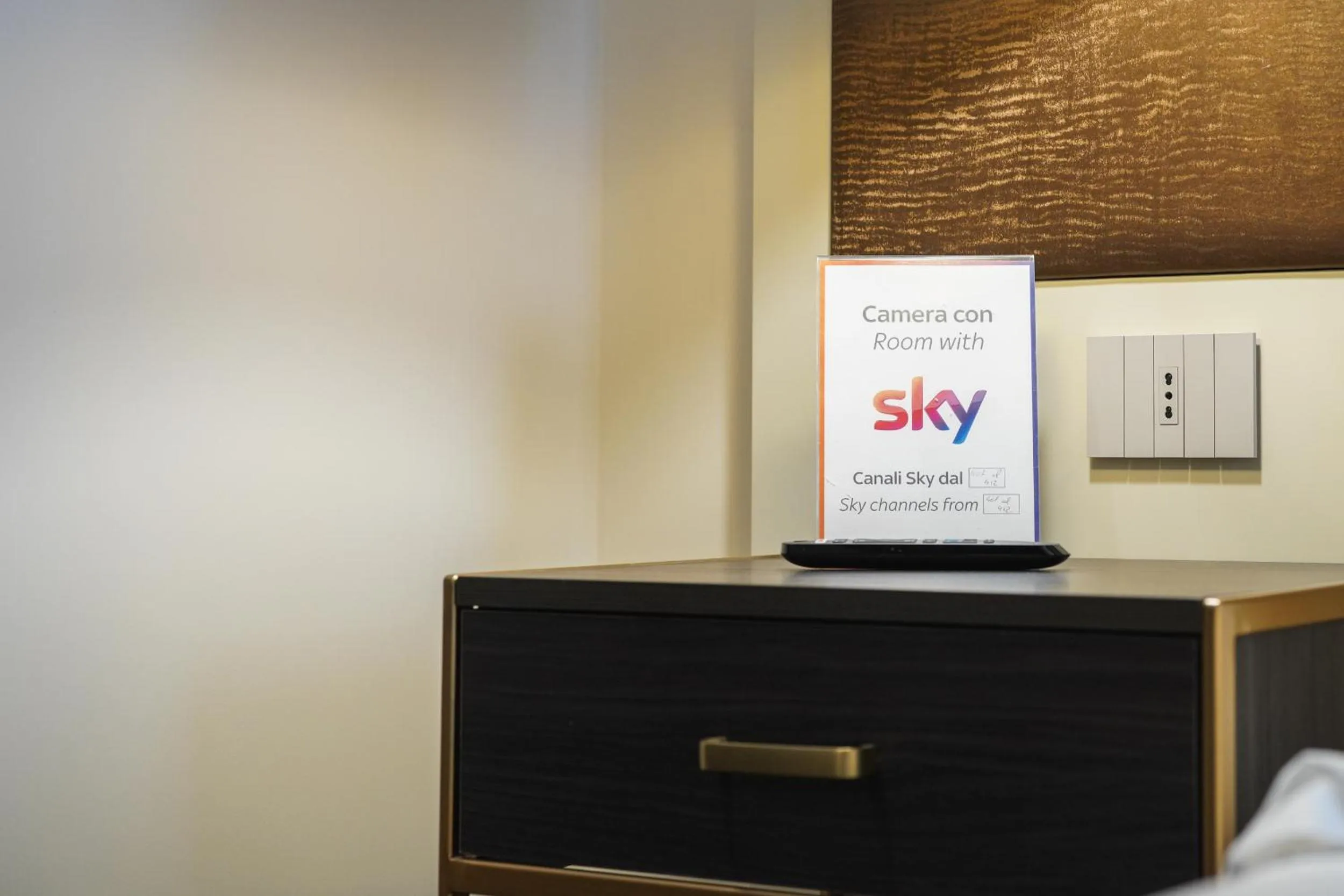 TV and multimedia in Hotel Palace