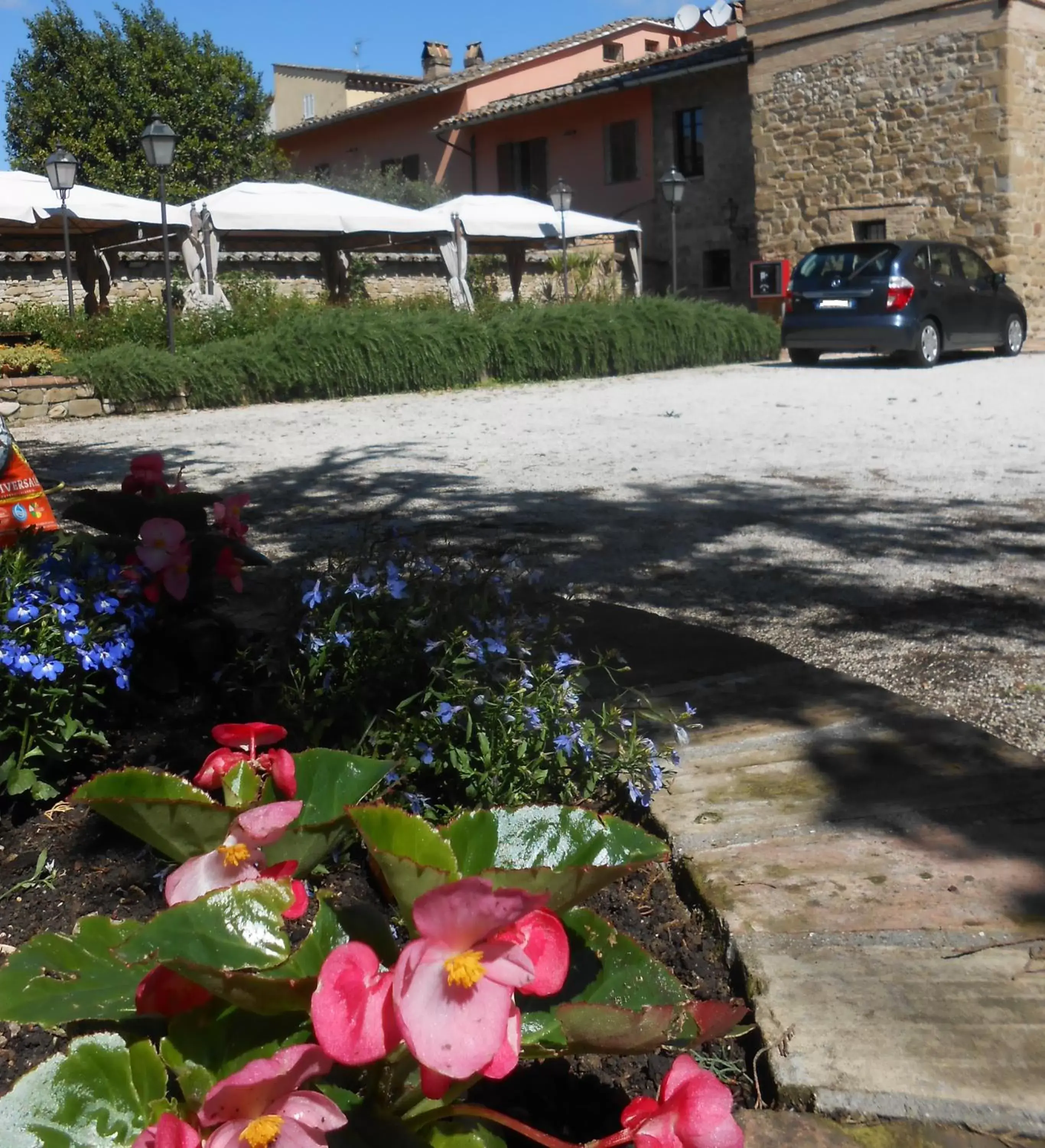 Garden, Property Building in Lo Spedalicchio