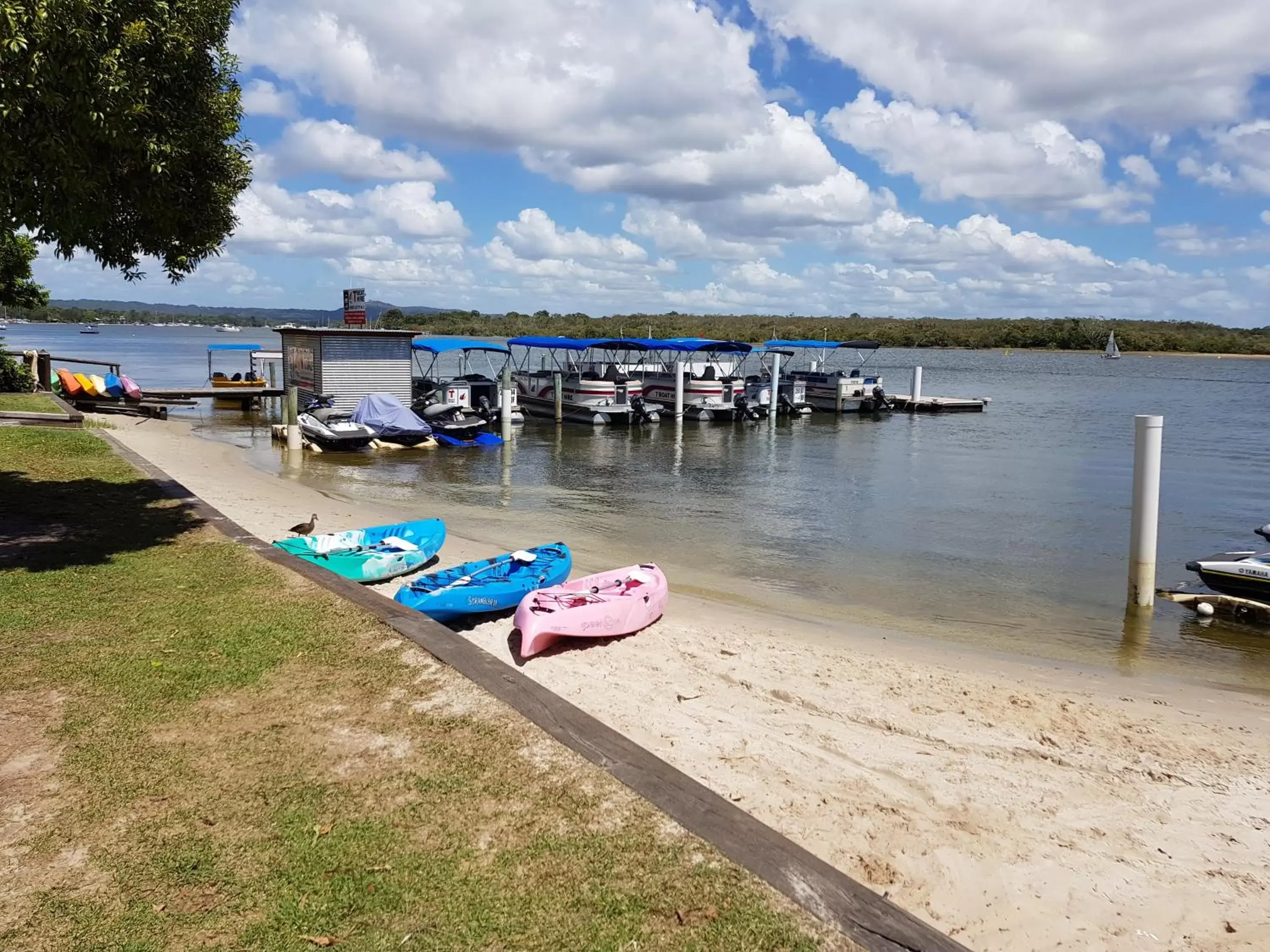 Activities in Noosa Place Resort