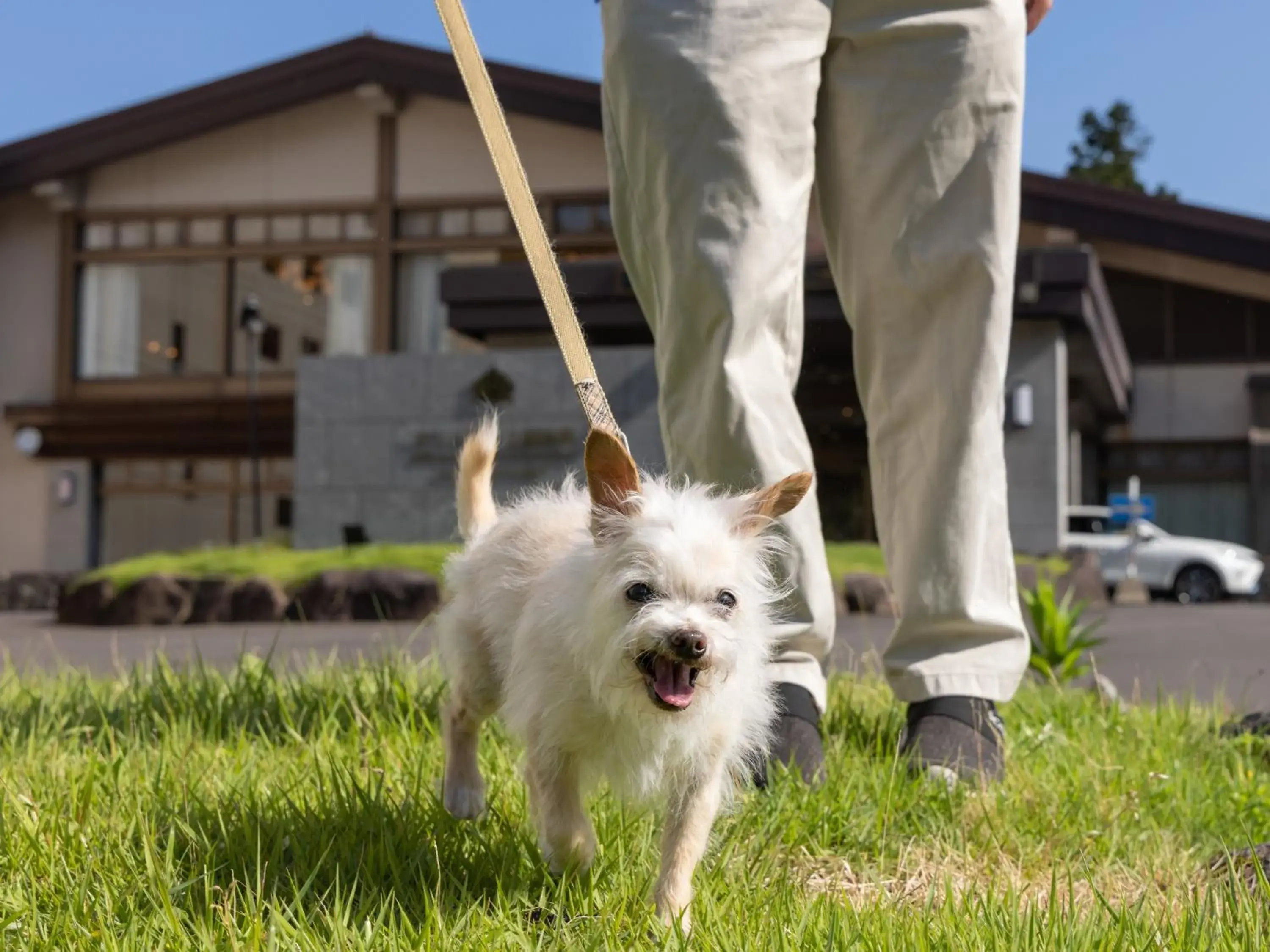 Animals, Pets in APA Hotel & Resort Joetsu Myoko