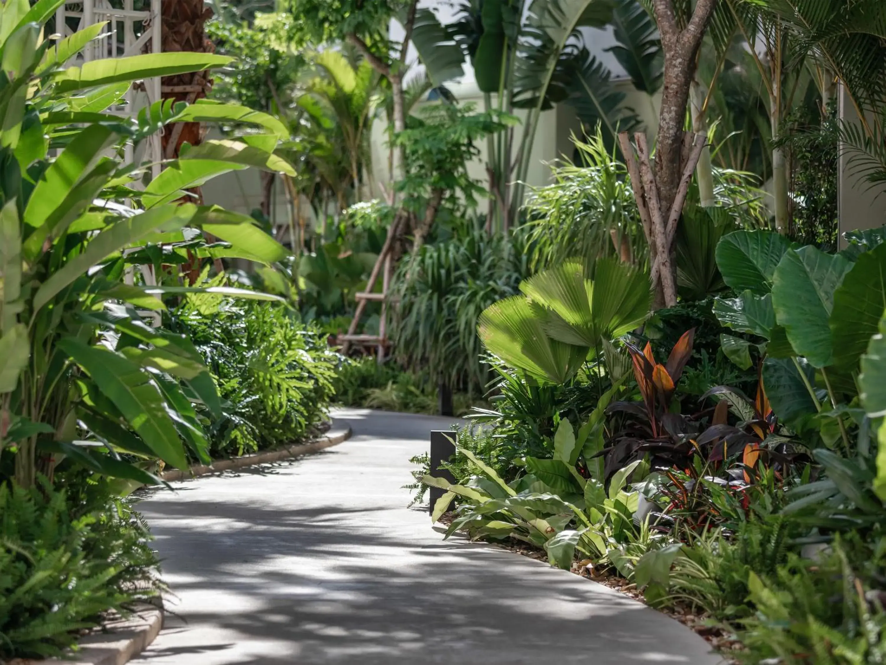 Garden in Lotte Hotel Saigon