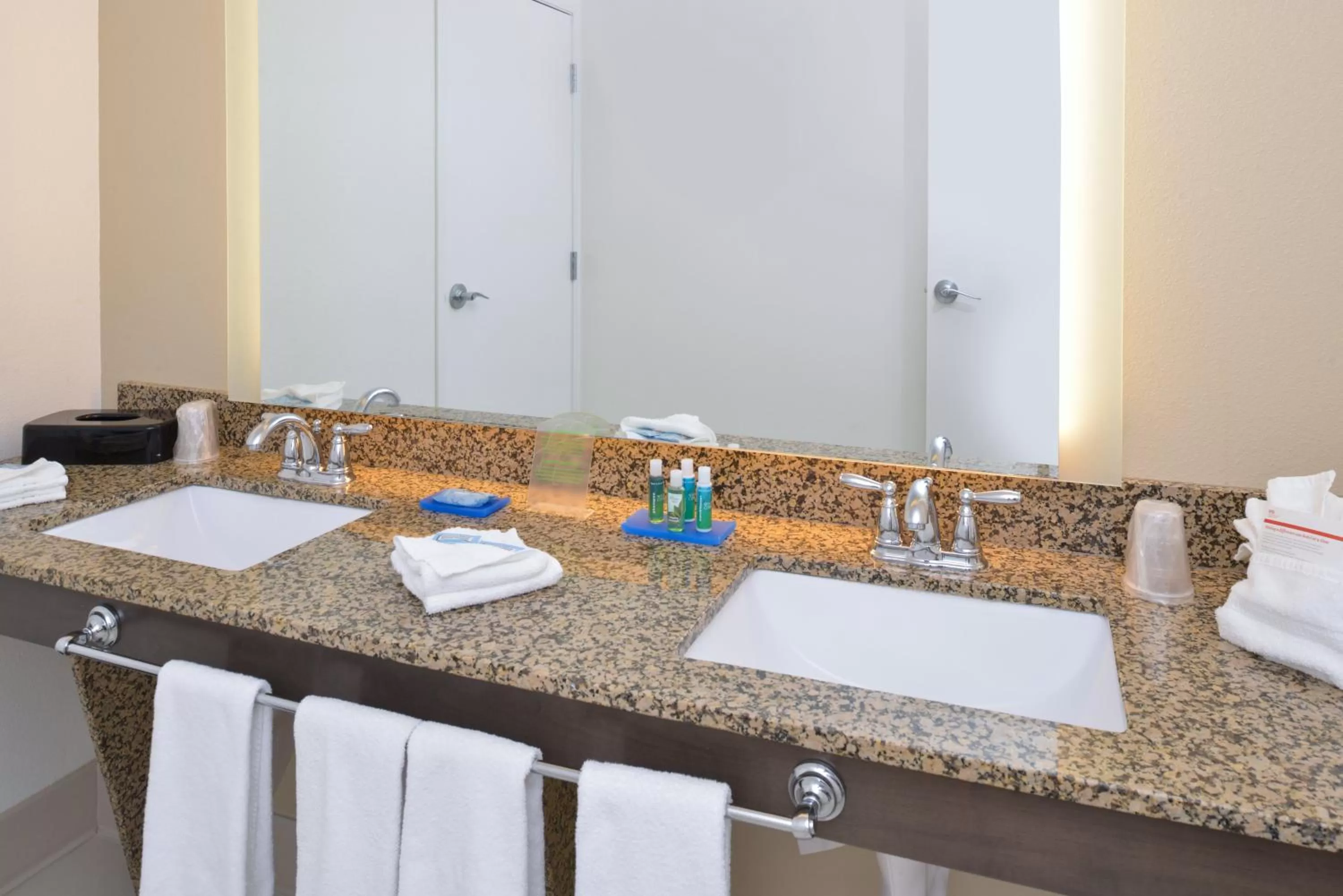 Bathroom in Holiday Inn Express Pocatello by IHG