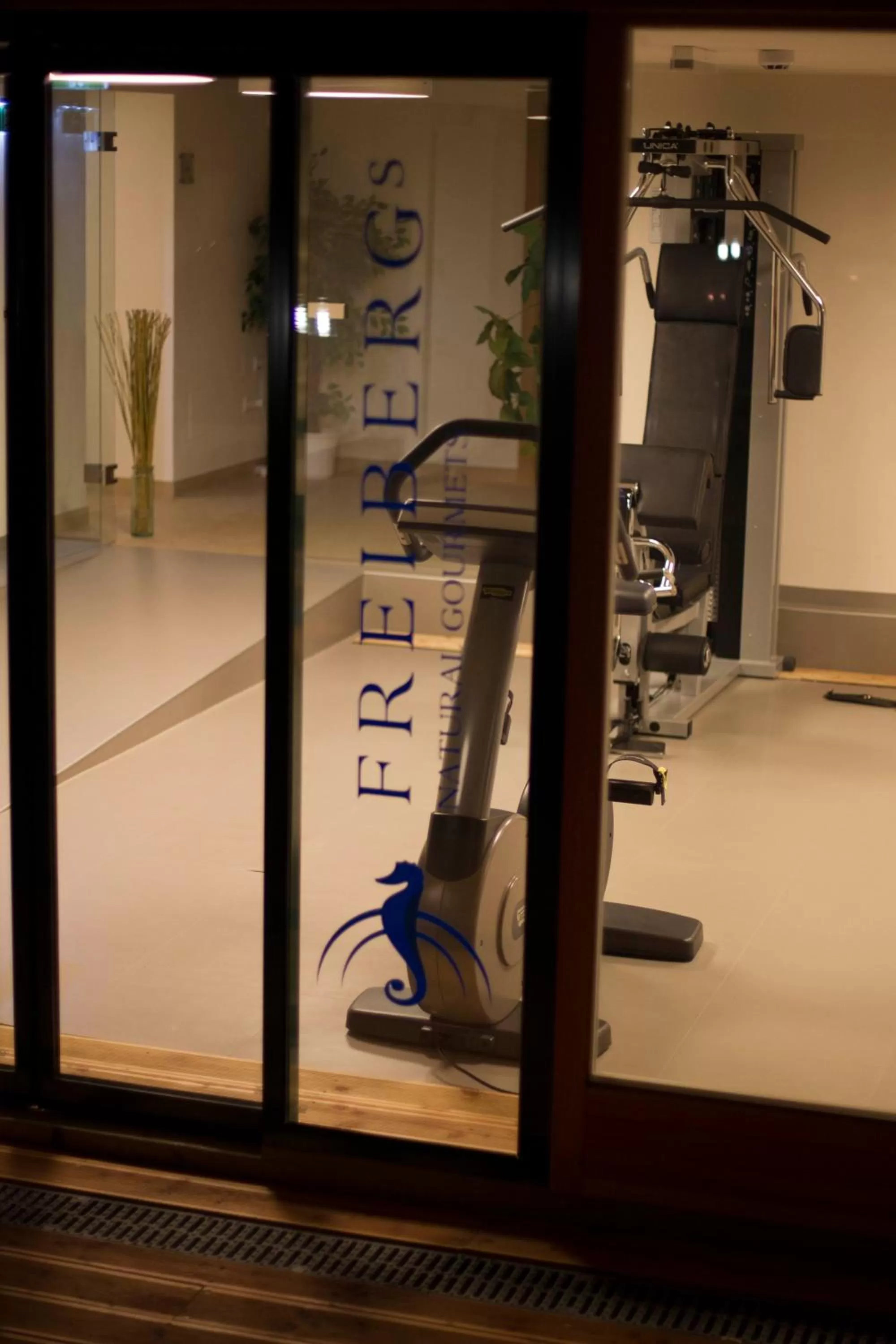 Fitness centre/facilities in Seevilla Freiberg
