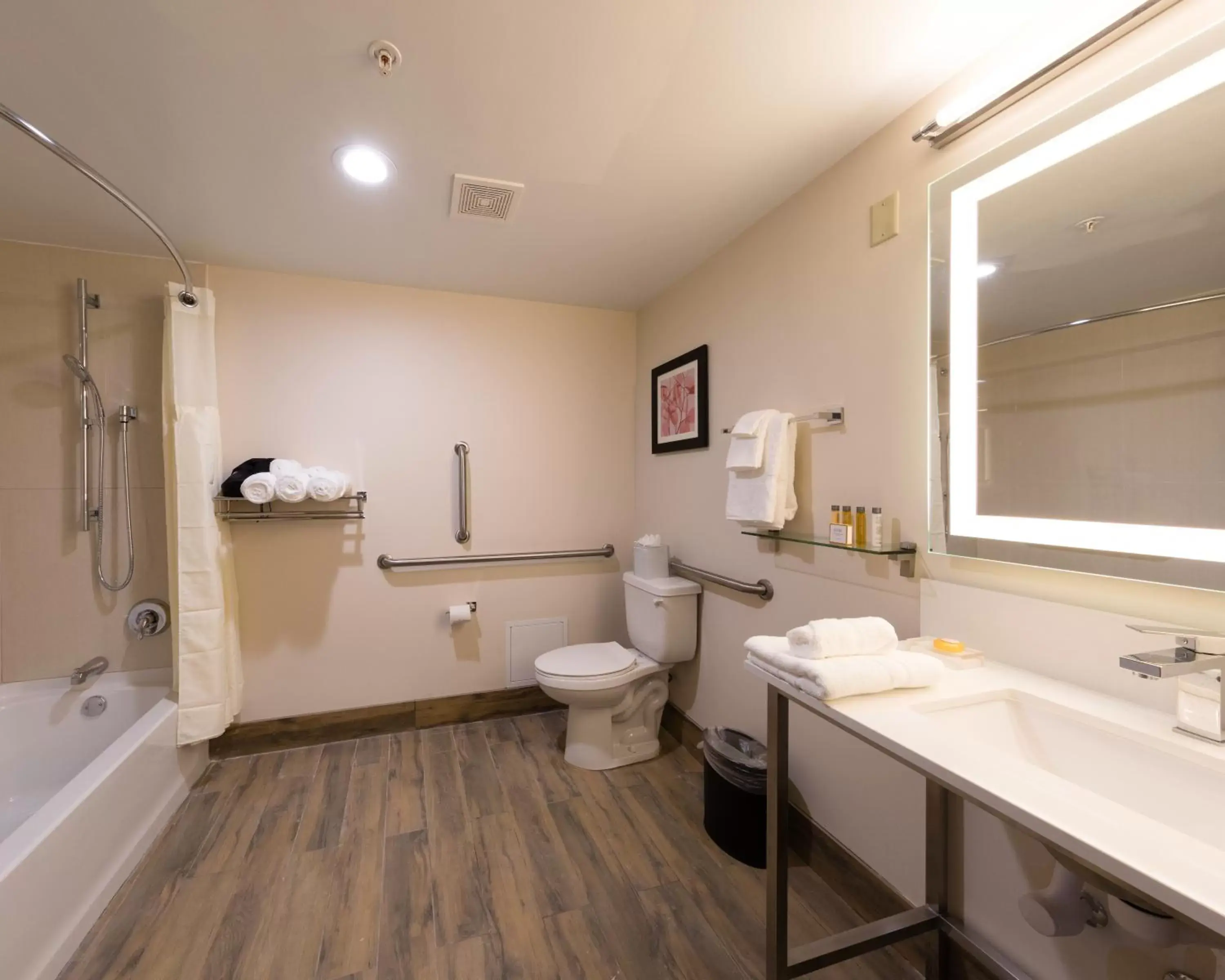 Toilet, Bathroom in Brookfield- Milwaukee Hotel