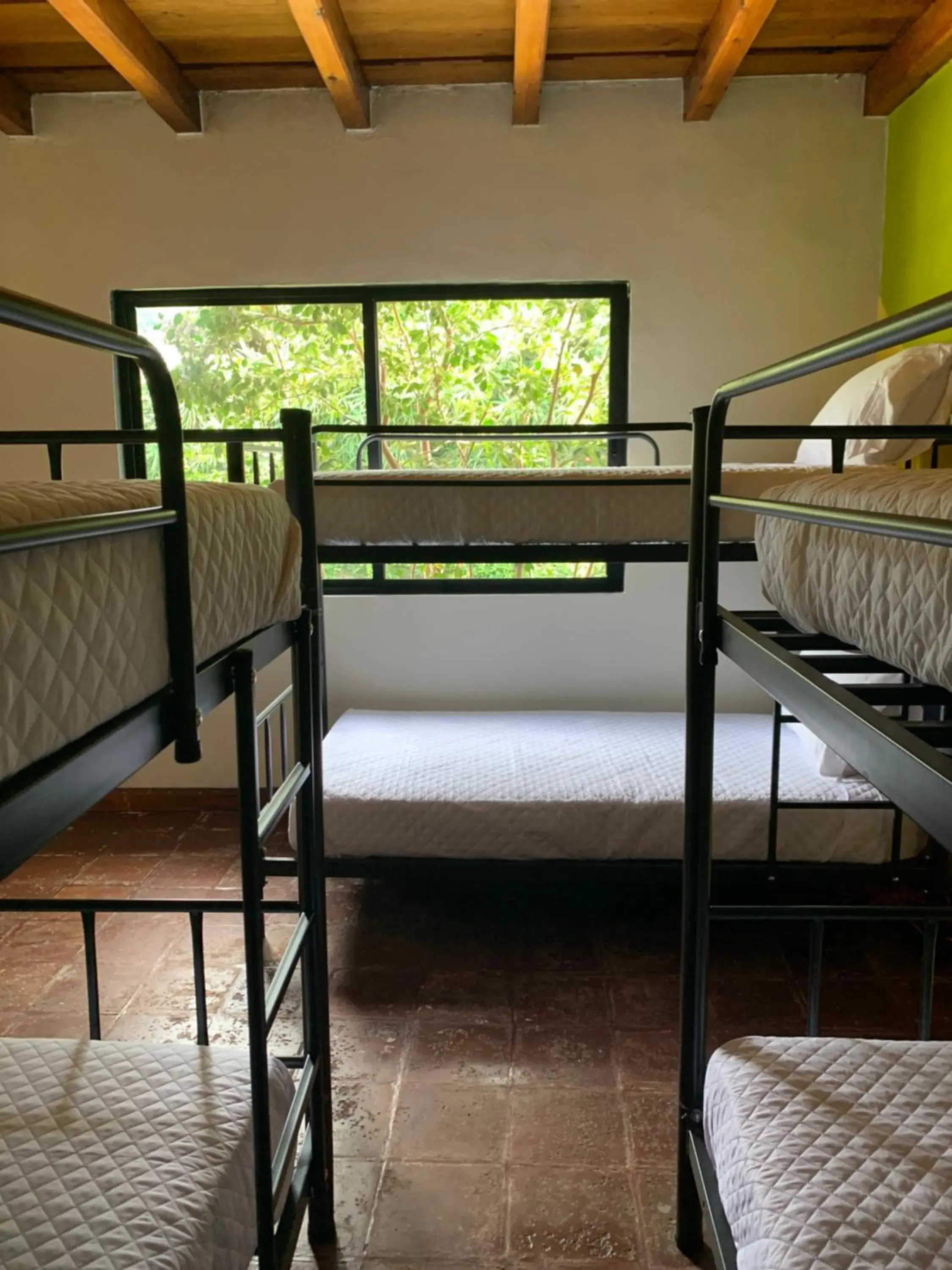 Bunk Bed in Yes Please! Hostel
