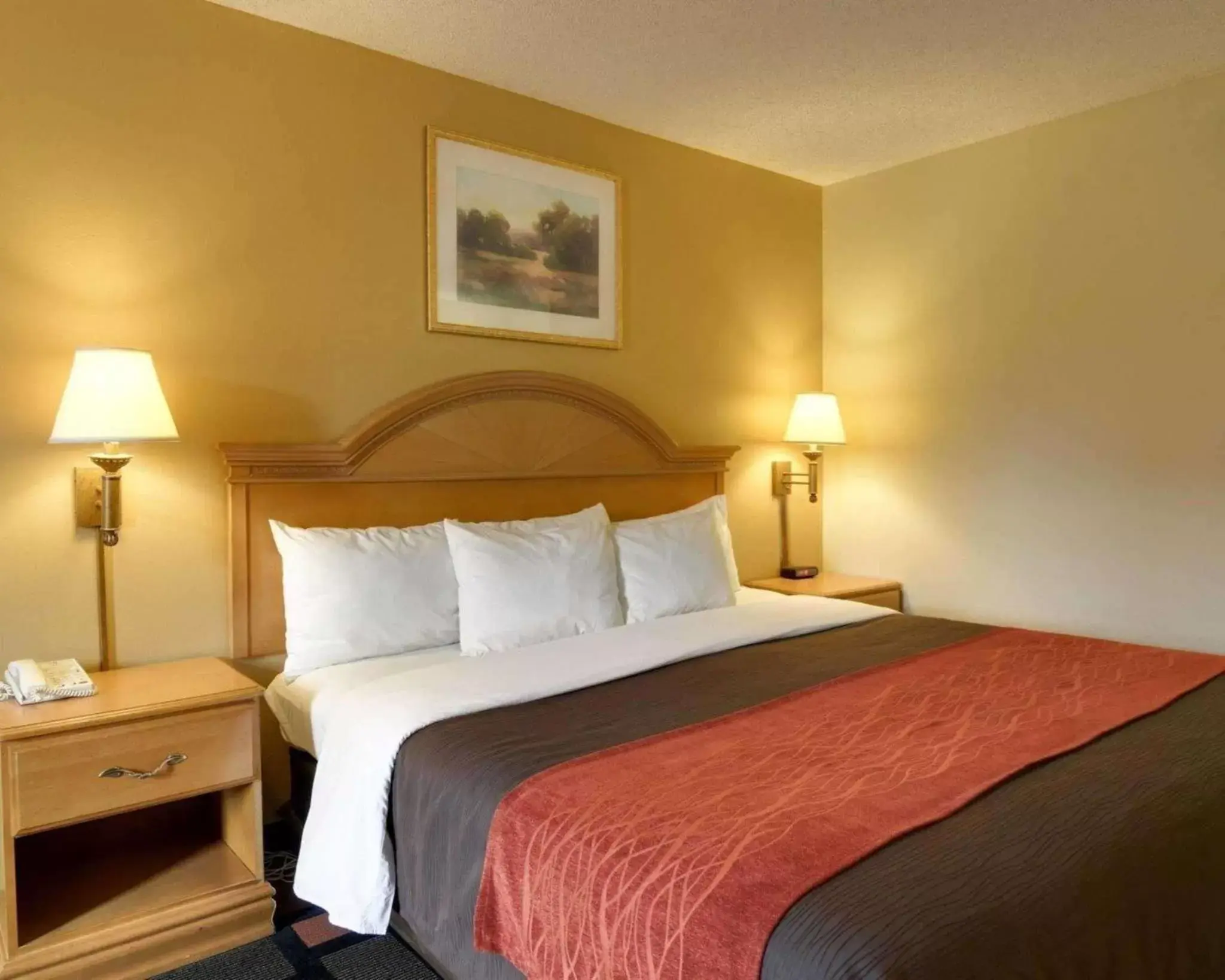 Photo of the whole room, Bed in Quality Inn & Suites