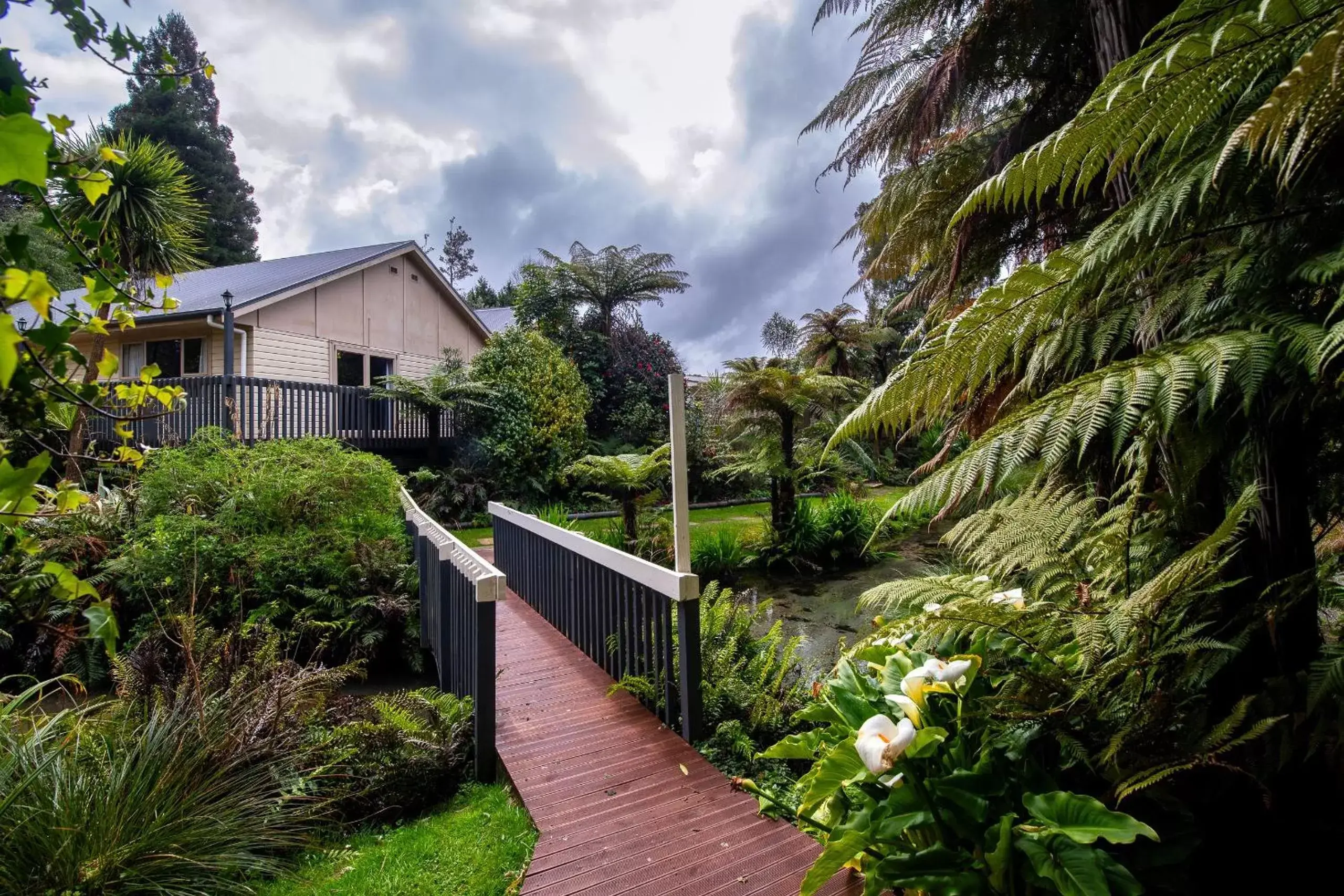 Natural landscape, Property Building in Best Western Braeside Rotorua