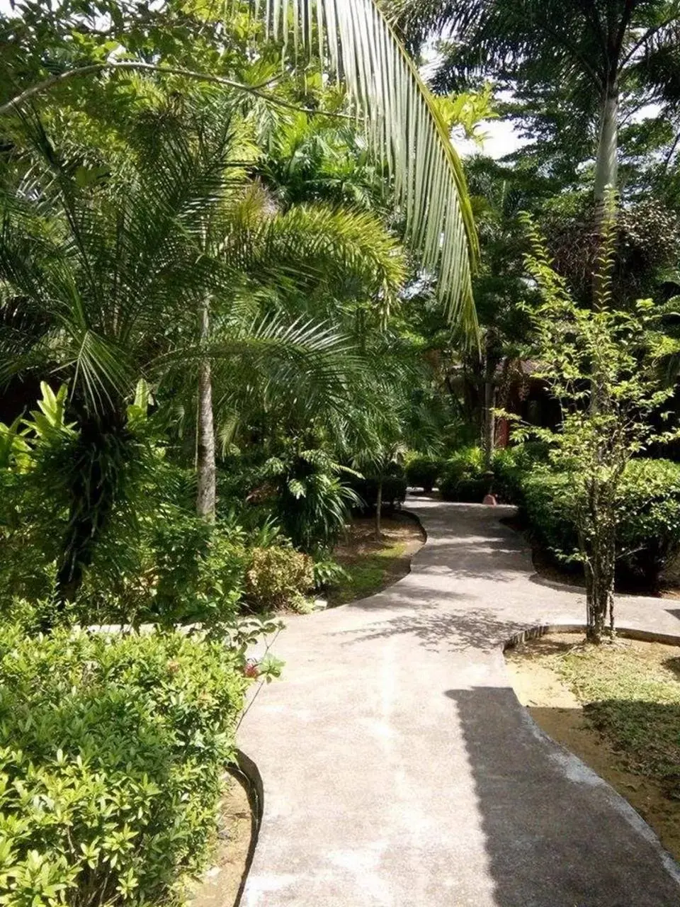 Natural landscape, Garden in Sudala Beach Resort