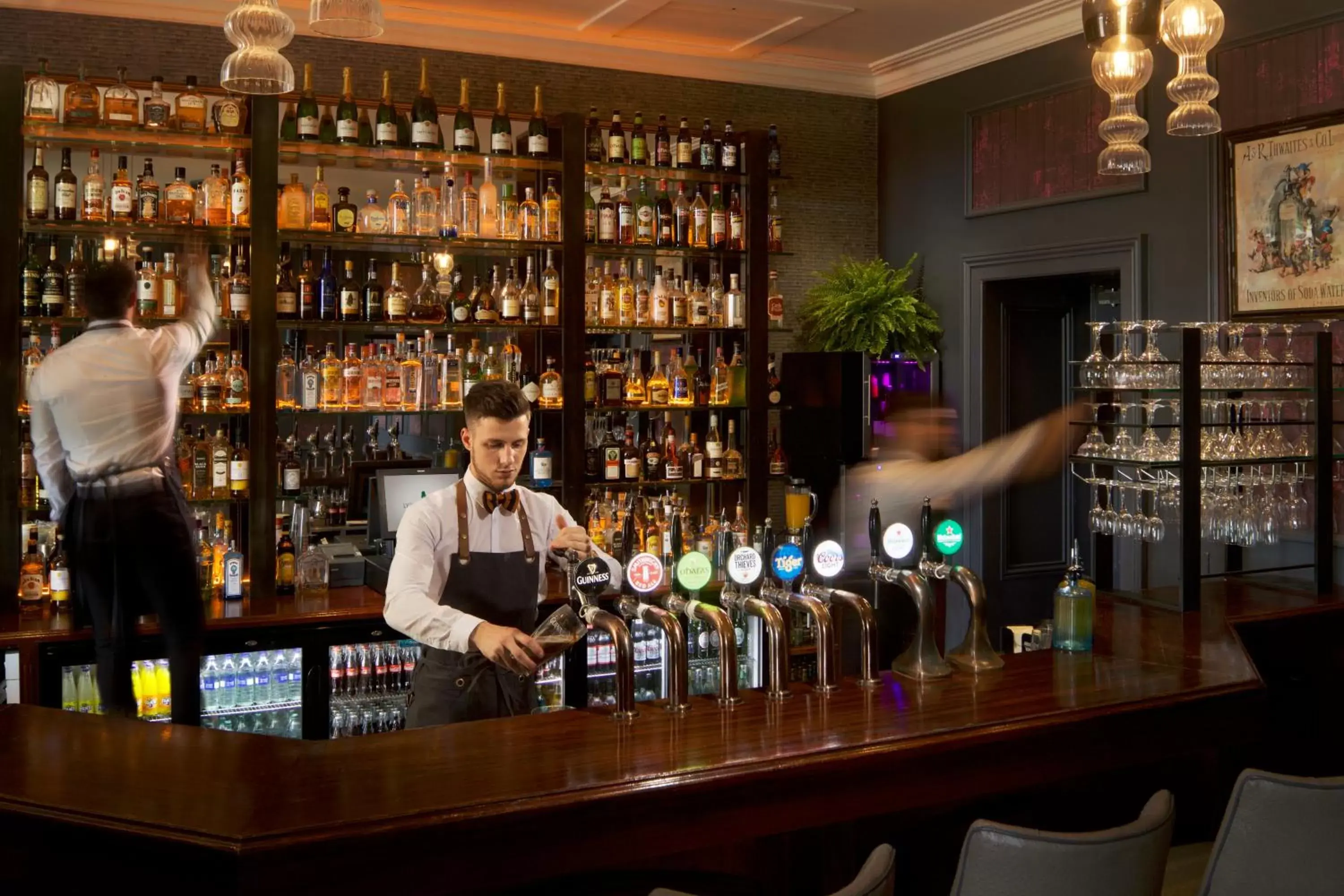 Staff, Lounge/Bar in Lyrath Estate