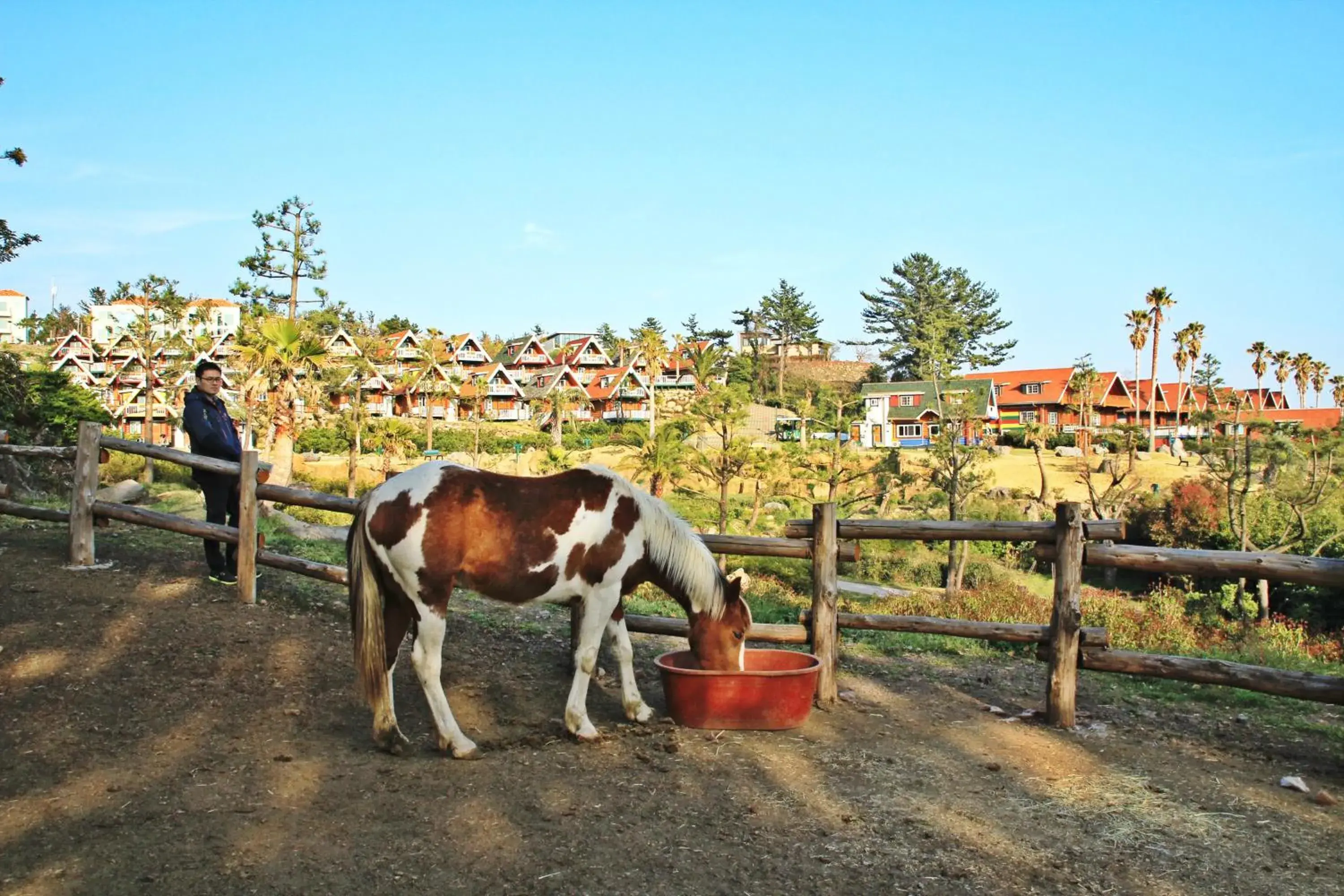 View (from property/room), Other Animals in Jungmun Log Pension & Resort