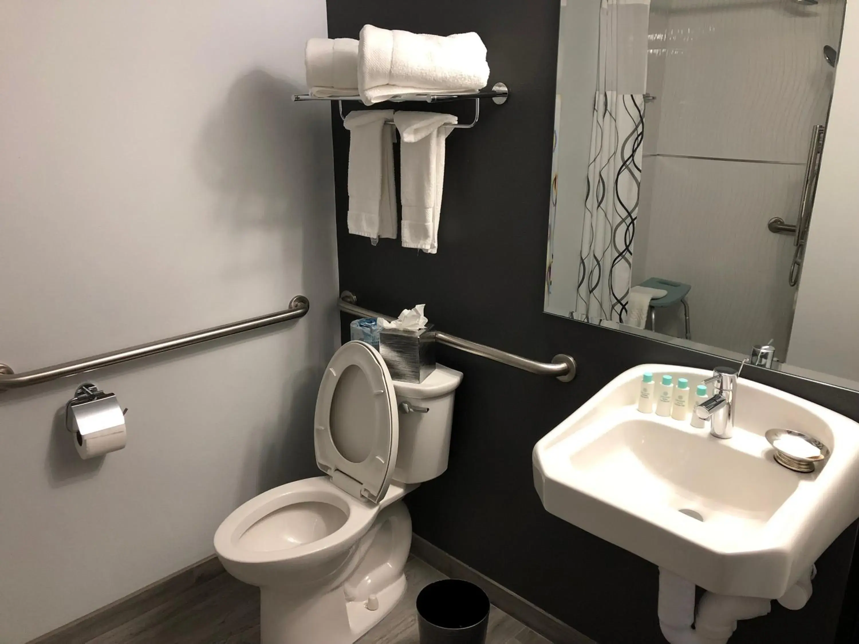 Toilet, Bathroom in The Streamline Hotel - Daytona Beach
