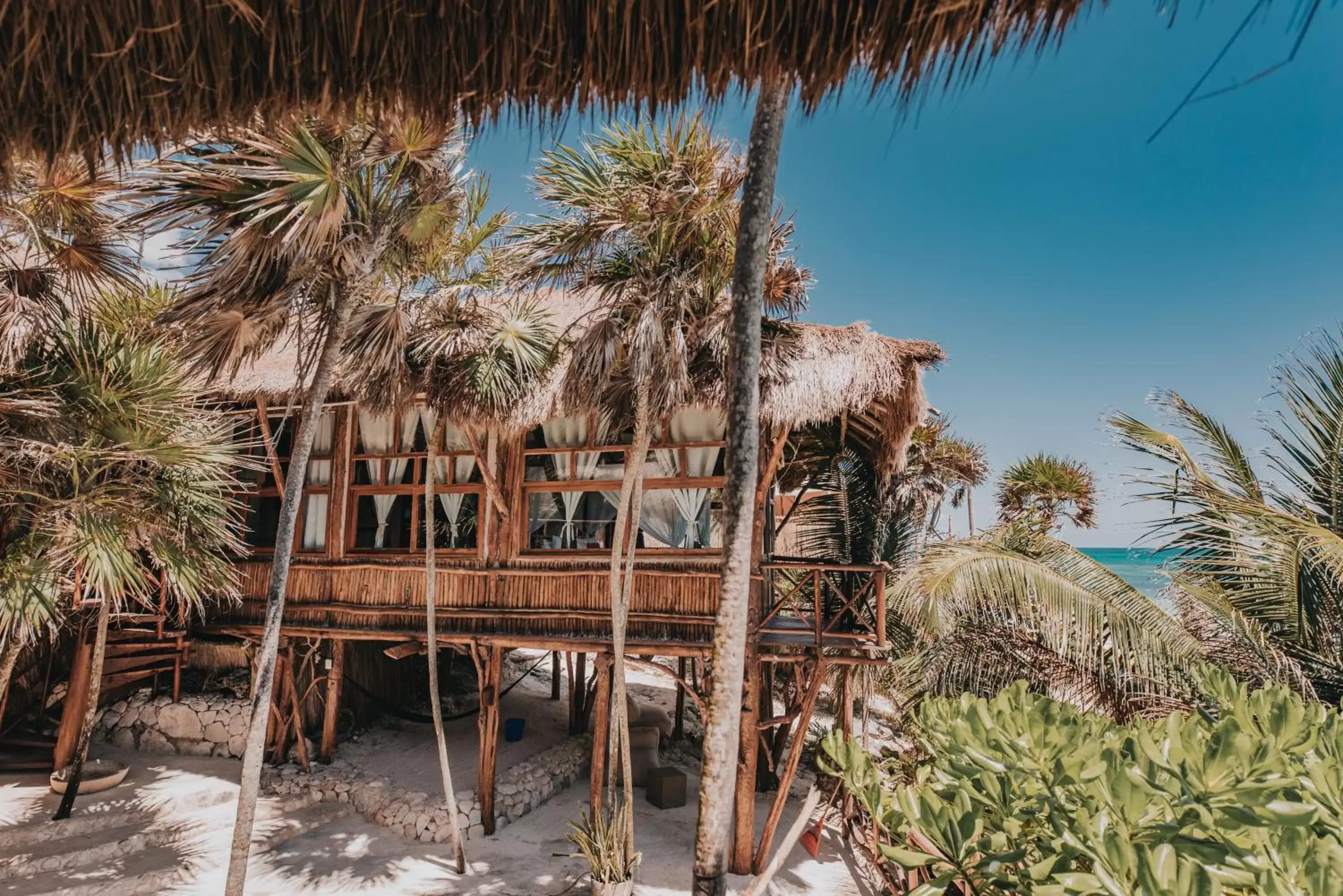 View (from property/room) in Papaya Playa Project View (from property/room) in Papaya Playa Project