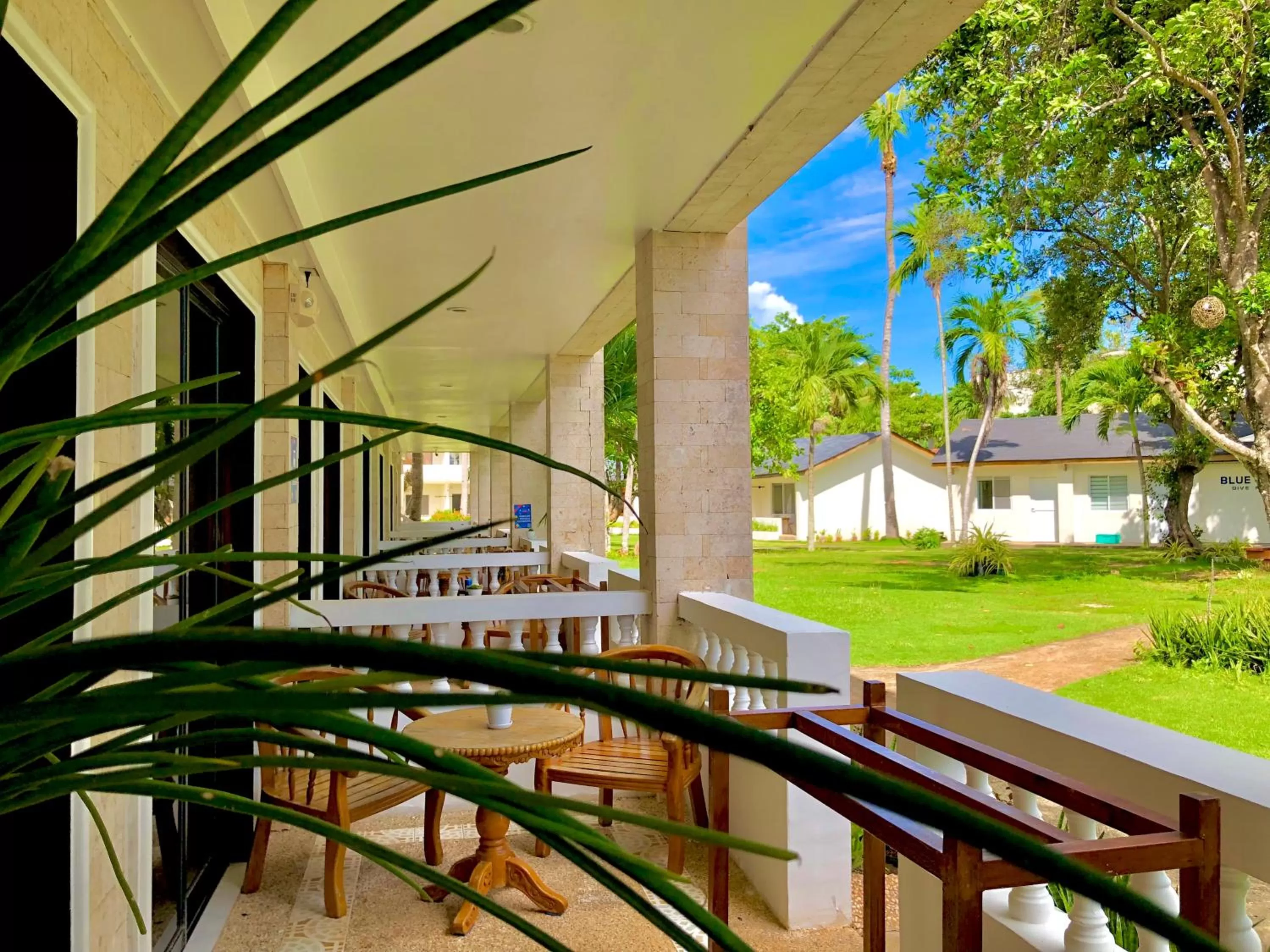 Garden in La Sirenita