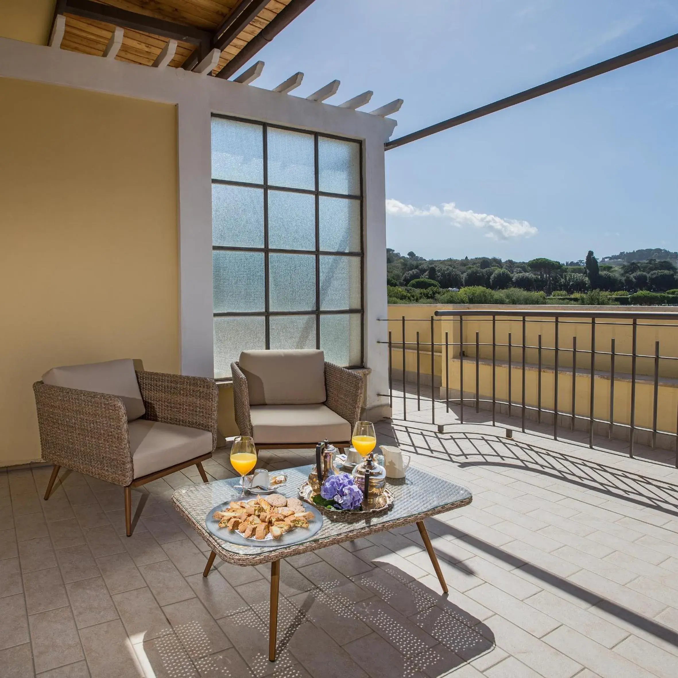 Balcony/Terrace in Hotel Cacciani