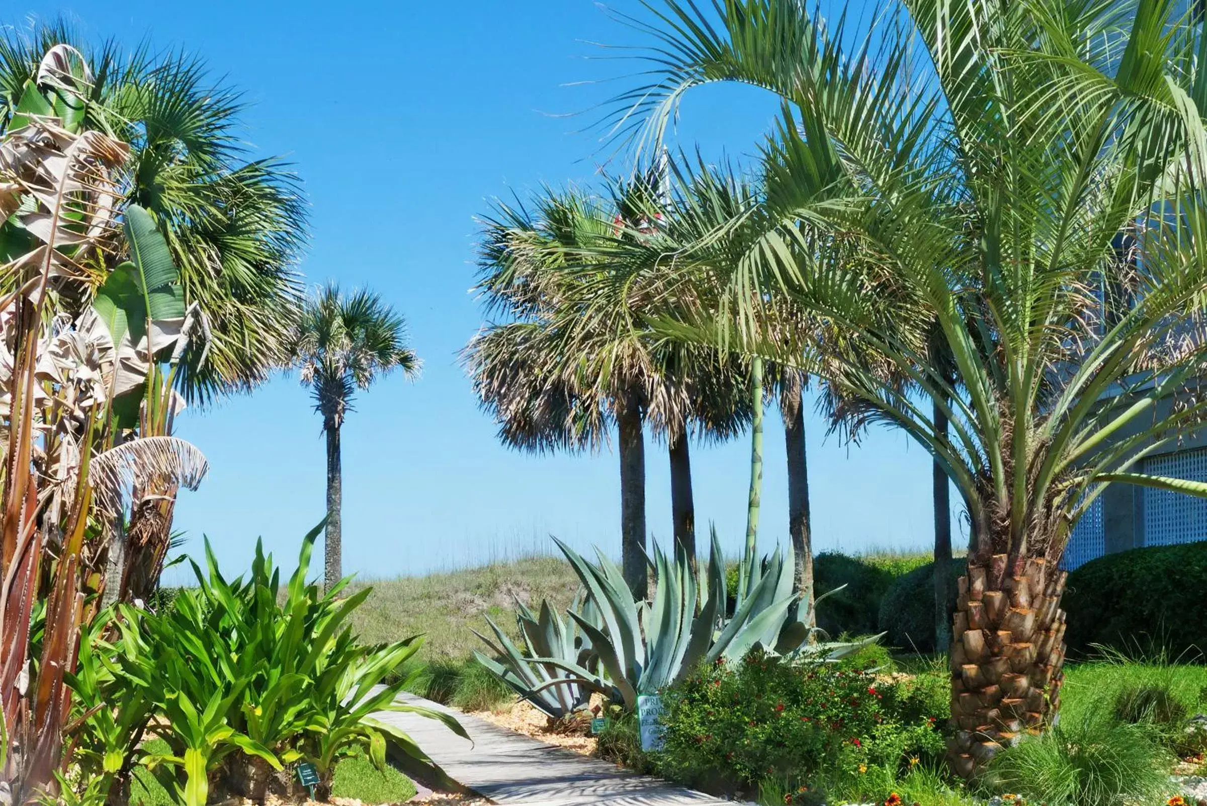 Area and facilities in Elizabeth Pointe Lodge