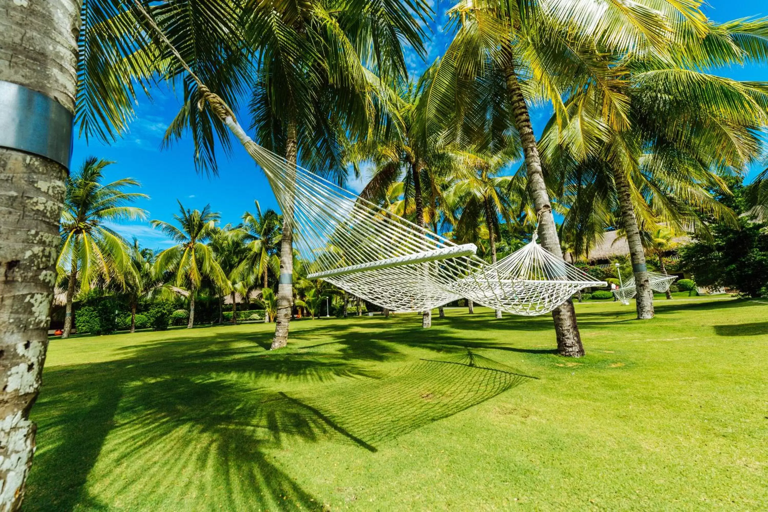 Garden in Bohol Beach Club