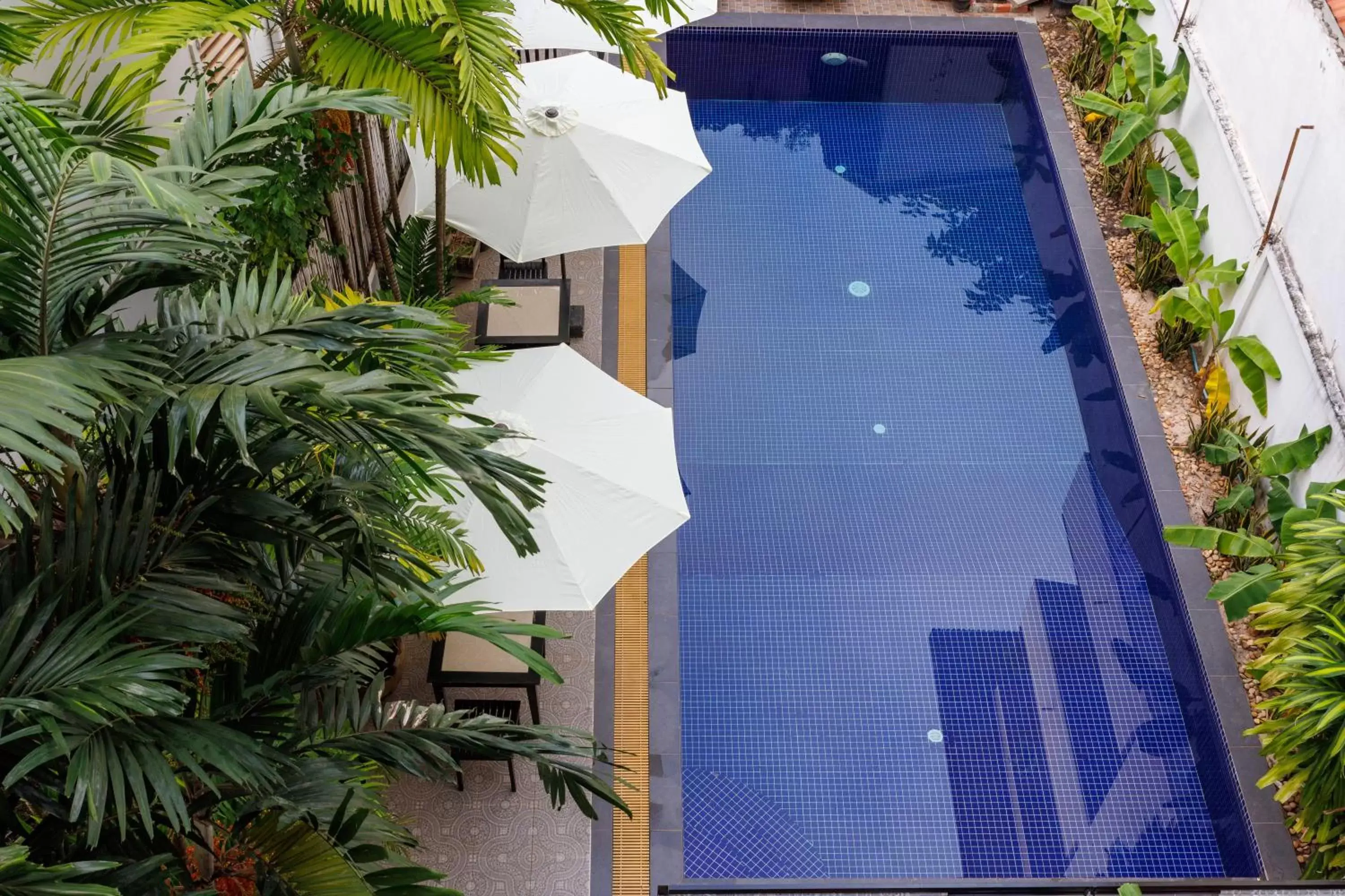 Pool view, Property Building in Siem Reap Urban Boutique Hotel