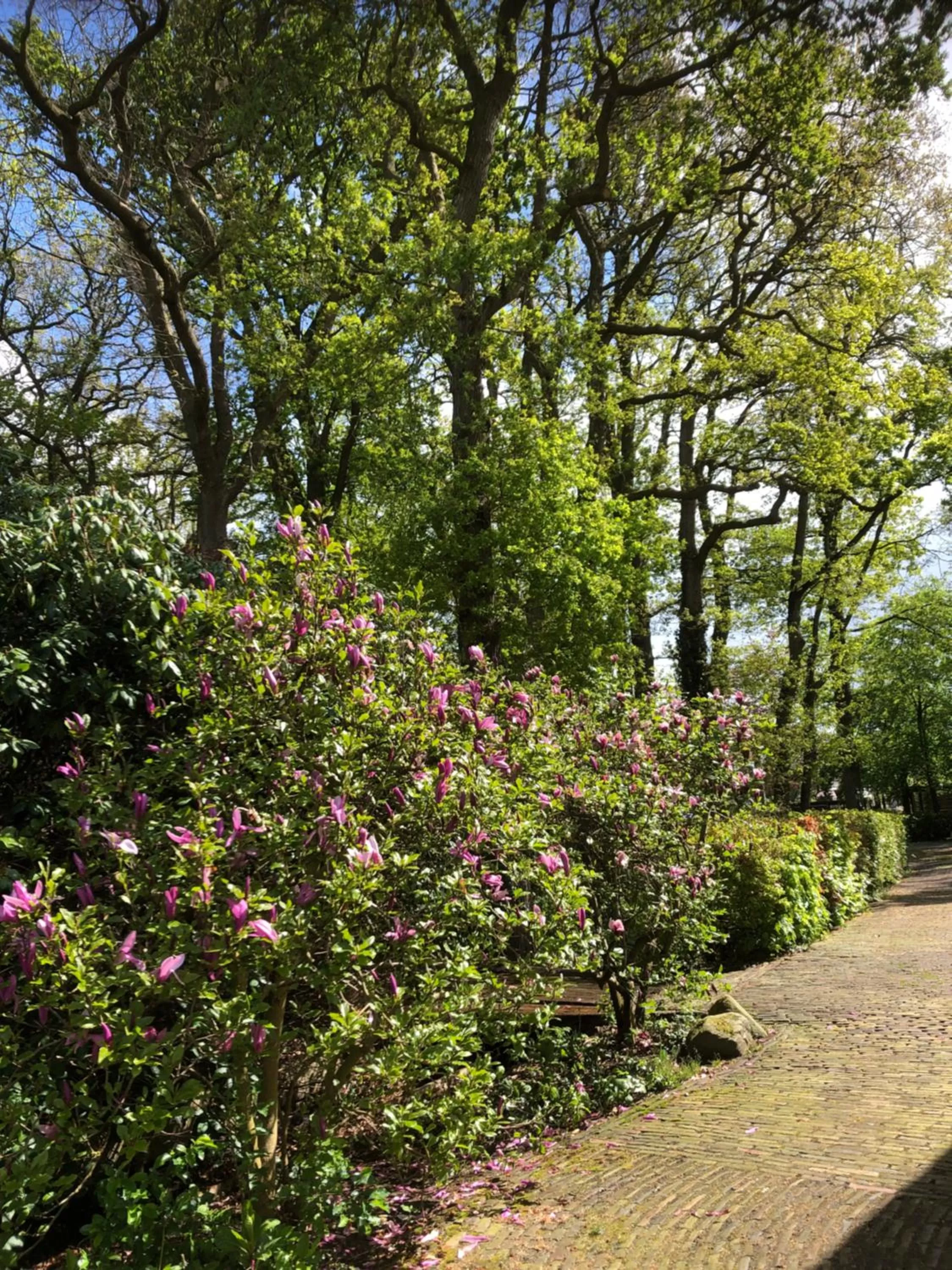 Natural landscape in B&B Otterstee