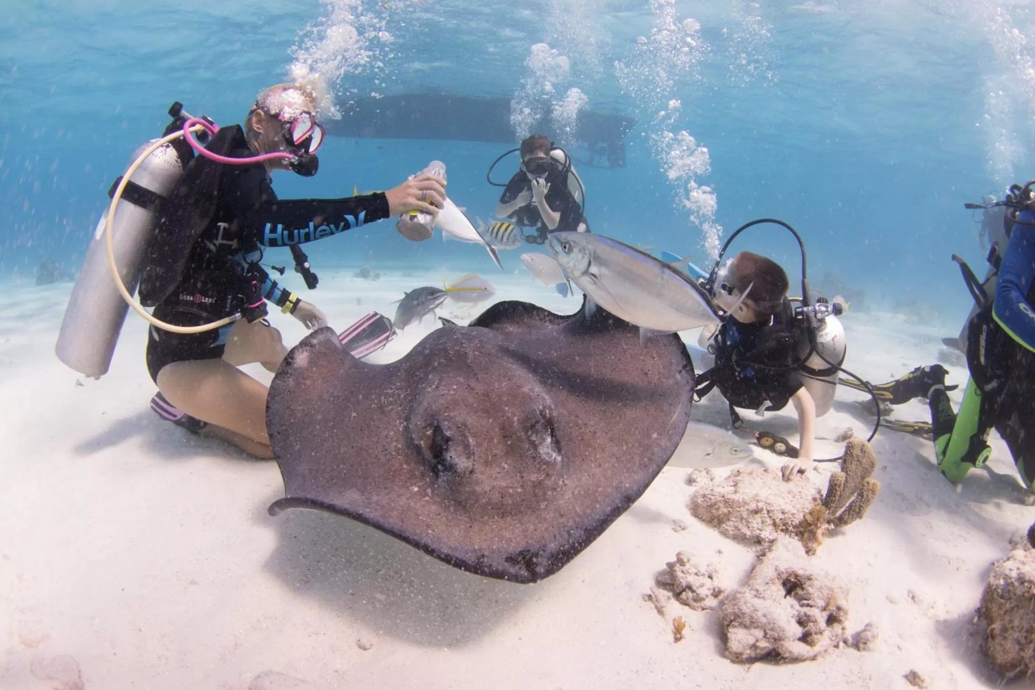 Area and facilities in Holiday Inn Resort Grand Cayman by IHG