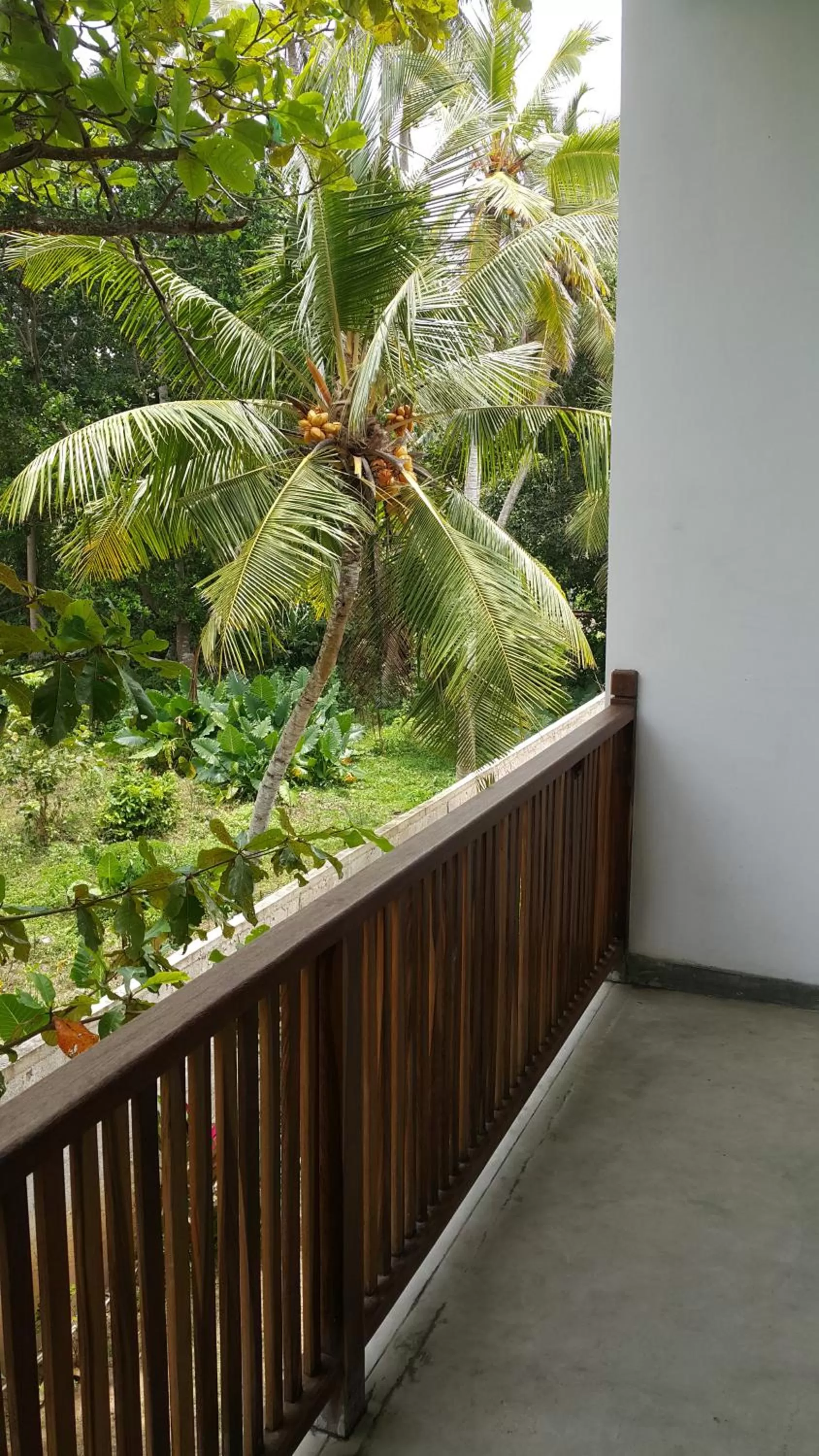 View (from property/room) in Green Almond Hotel