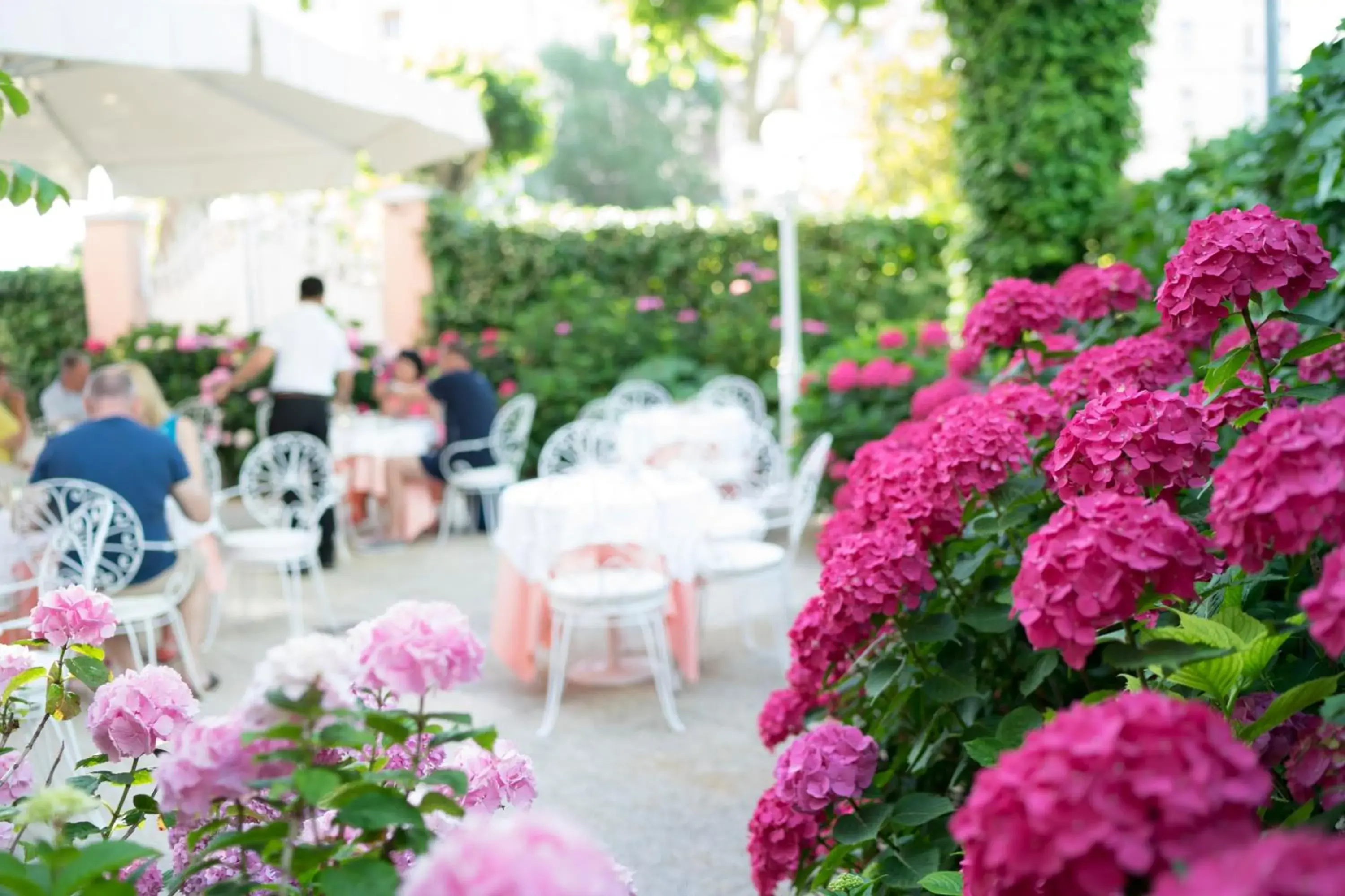 Garden in Hotel Milton