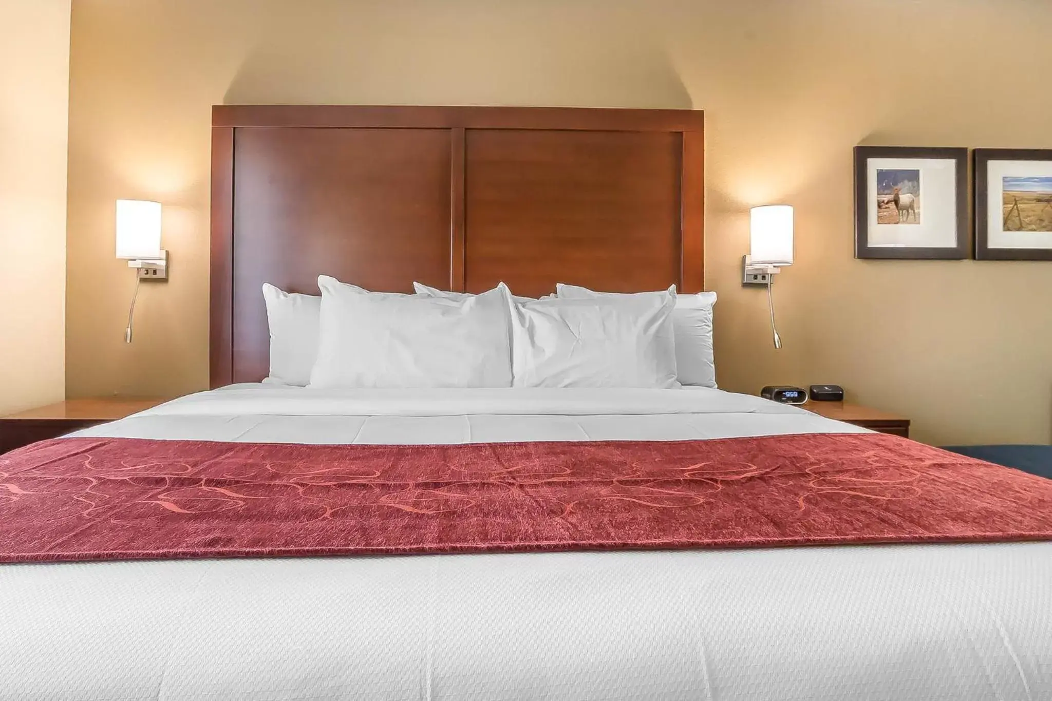 Property building, Bed in Comfort Suites Billings