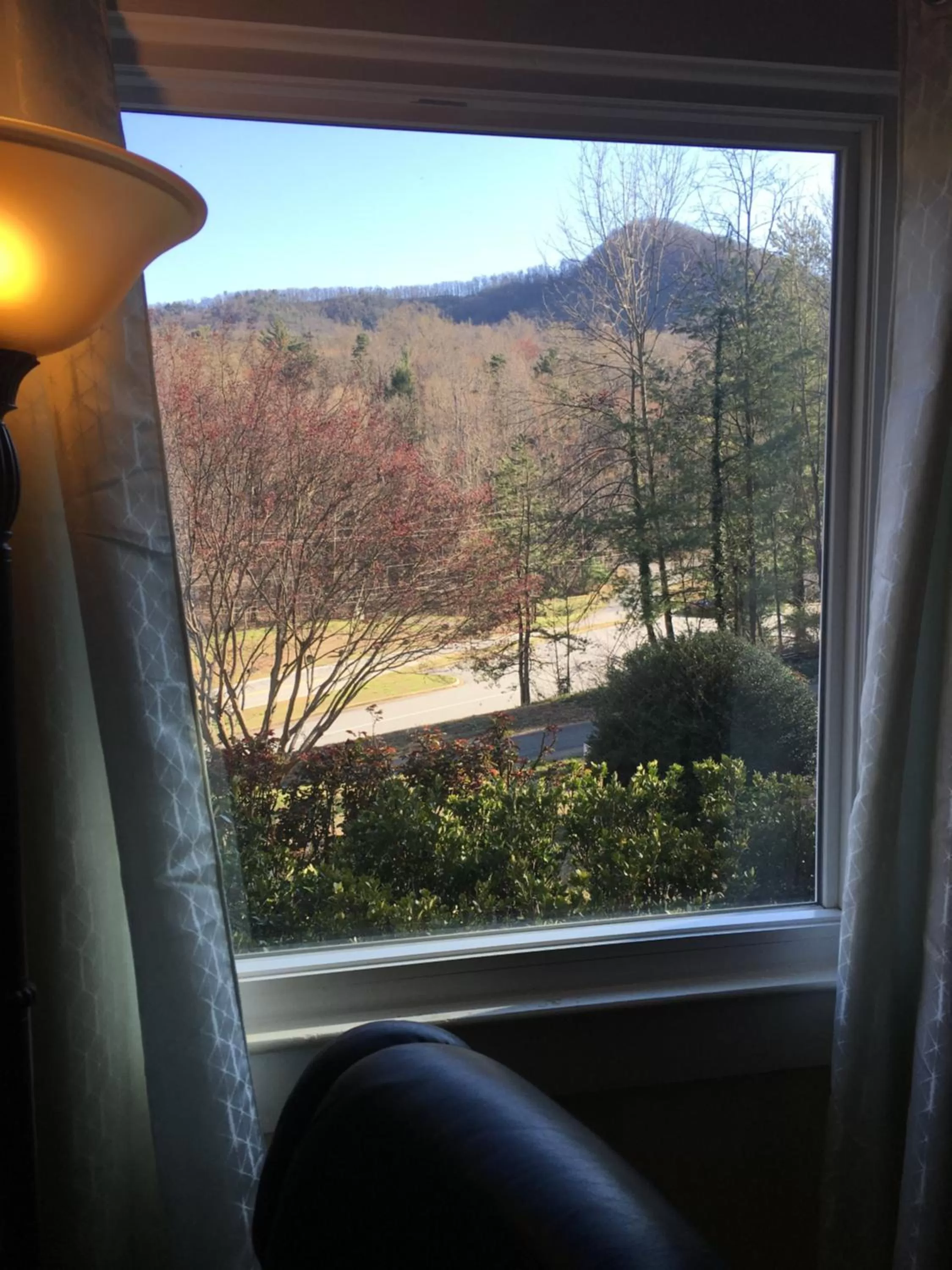 Mountain view, View in Grafton Lodge