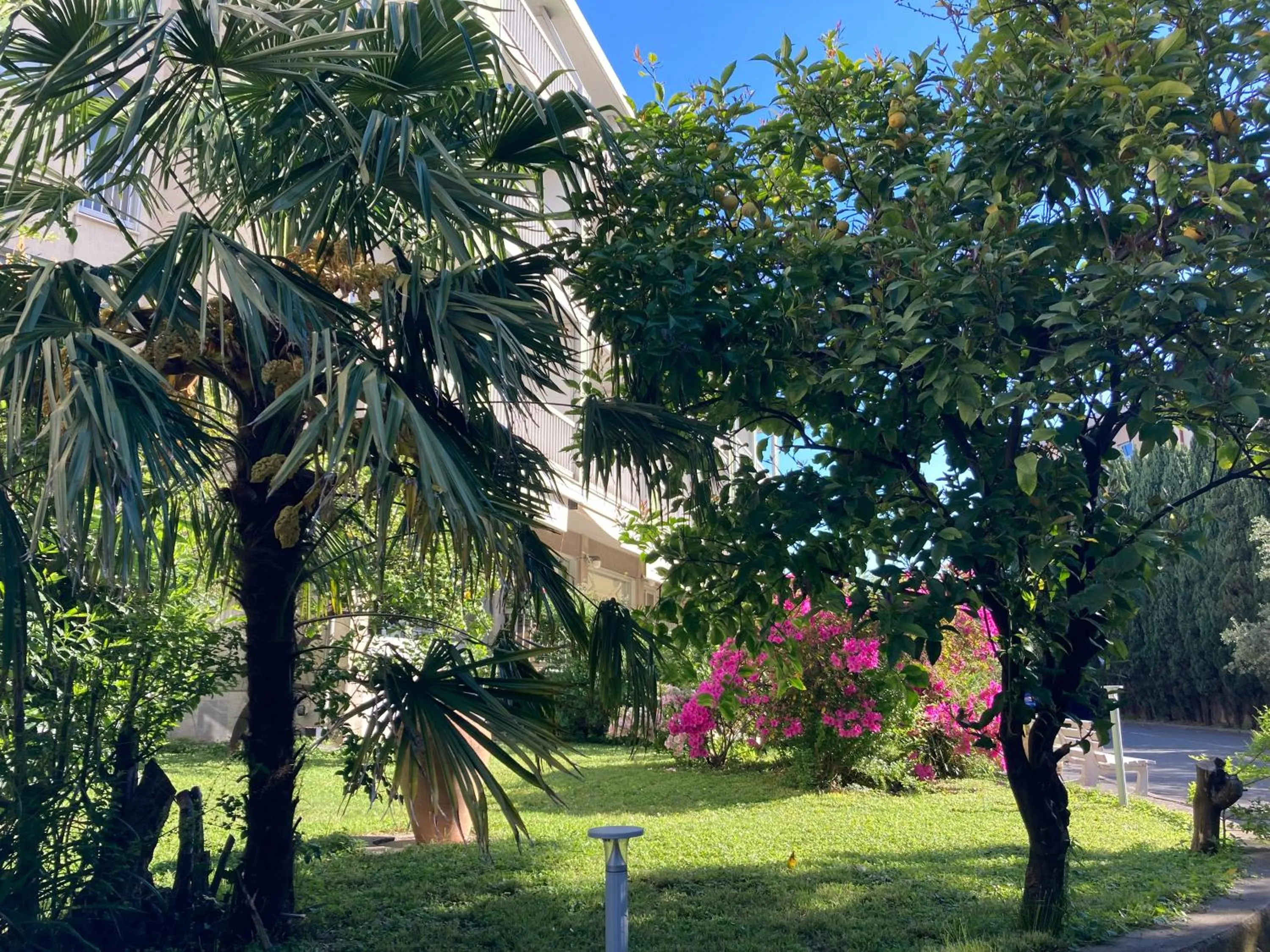 Garden in Hotel Ghironi