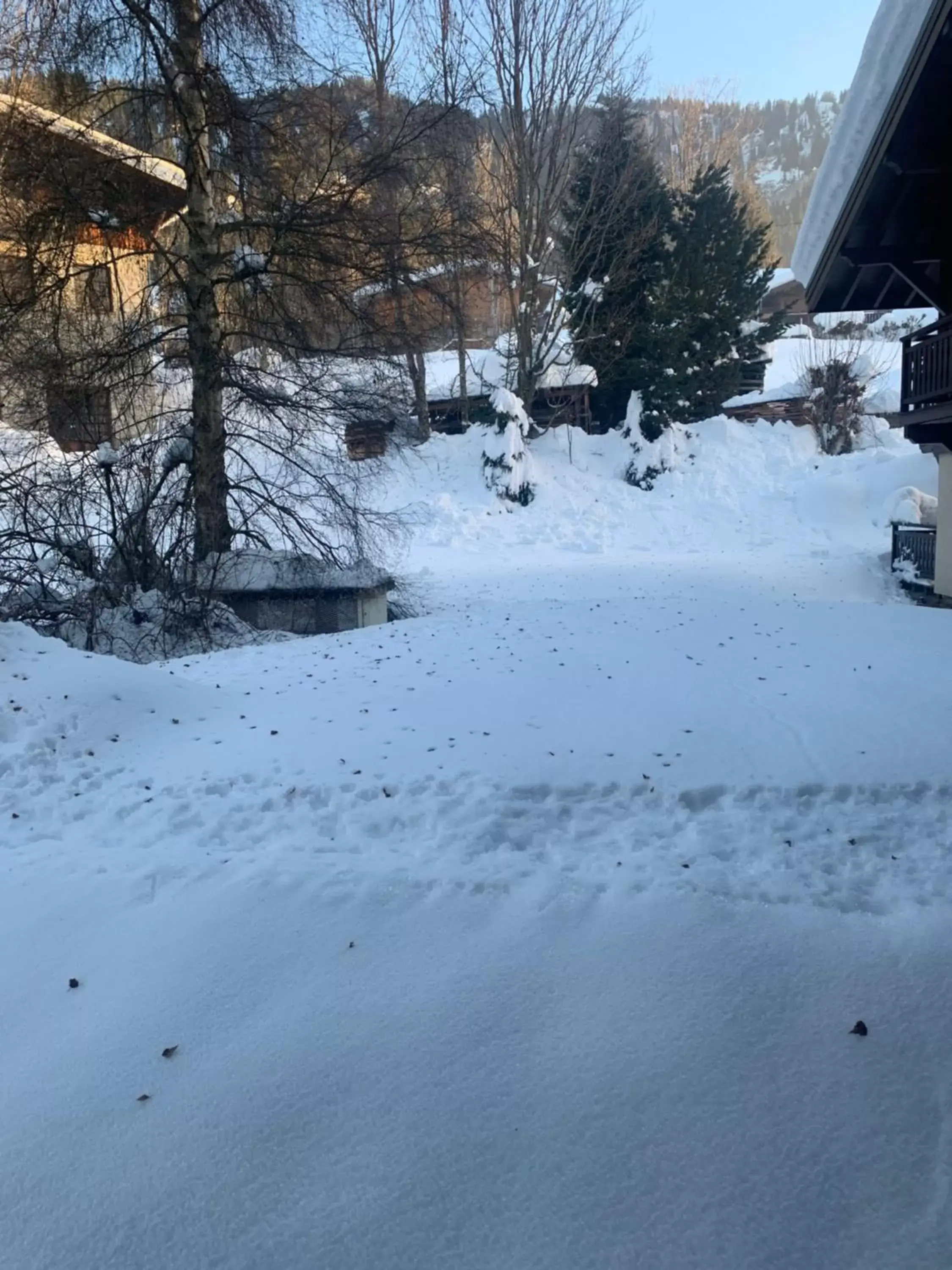 View (from property/room), Winter in La Résidence de L'Ours