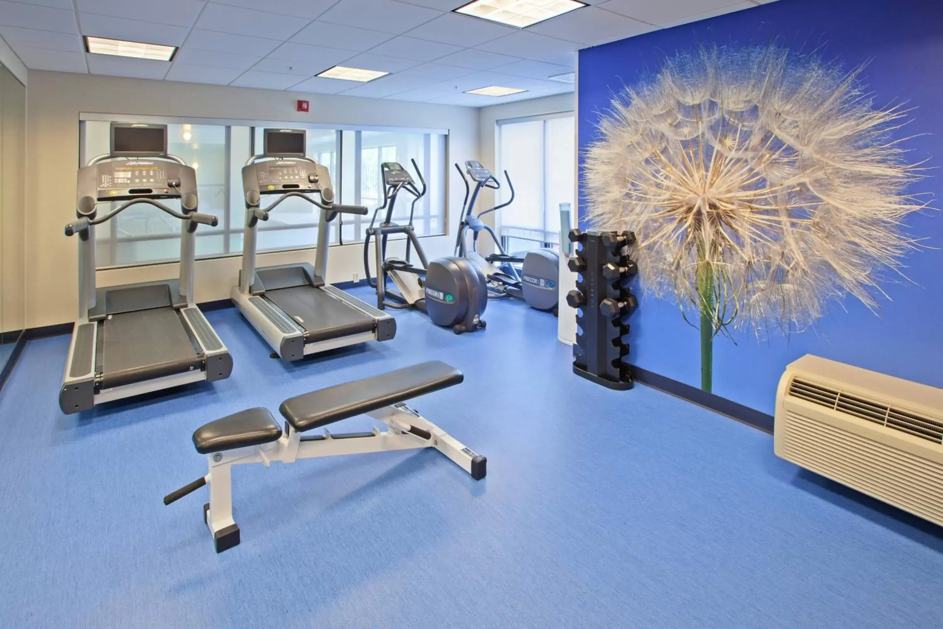Fitness centre/facilities, Fitness Center/Facilities in Springhill Suites by Marriott Chicago Schaumburg/Woodfield Mall